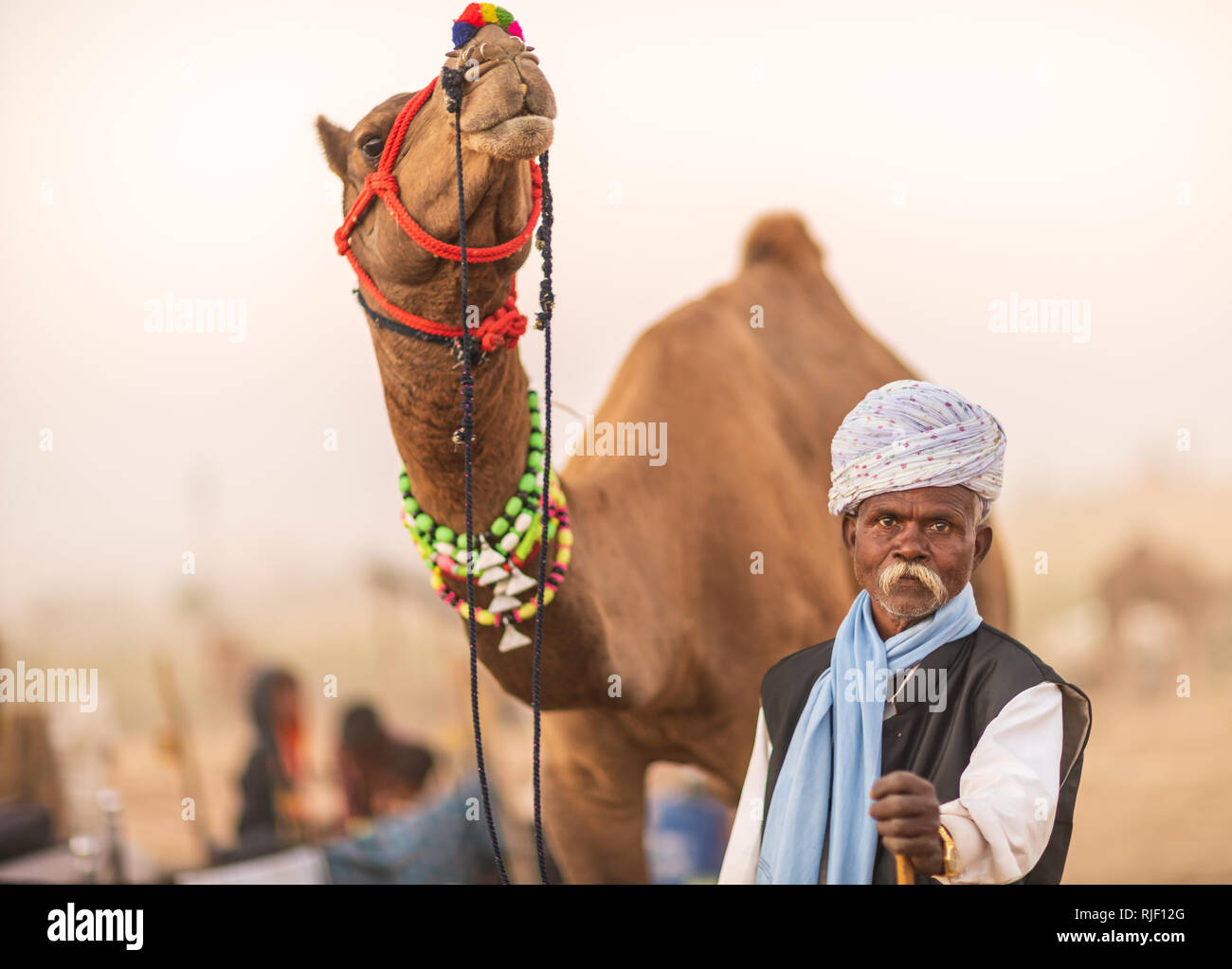 Indian men and his camel in desert Thar during Pushkar Camel Mela near holy city Pushkar. This fair is the largest camel trading fair in the world. Stock Photo