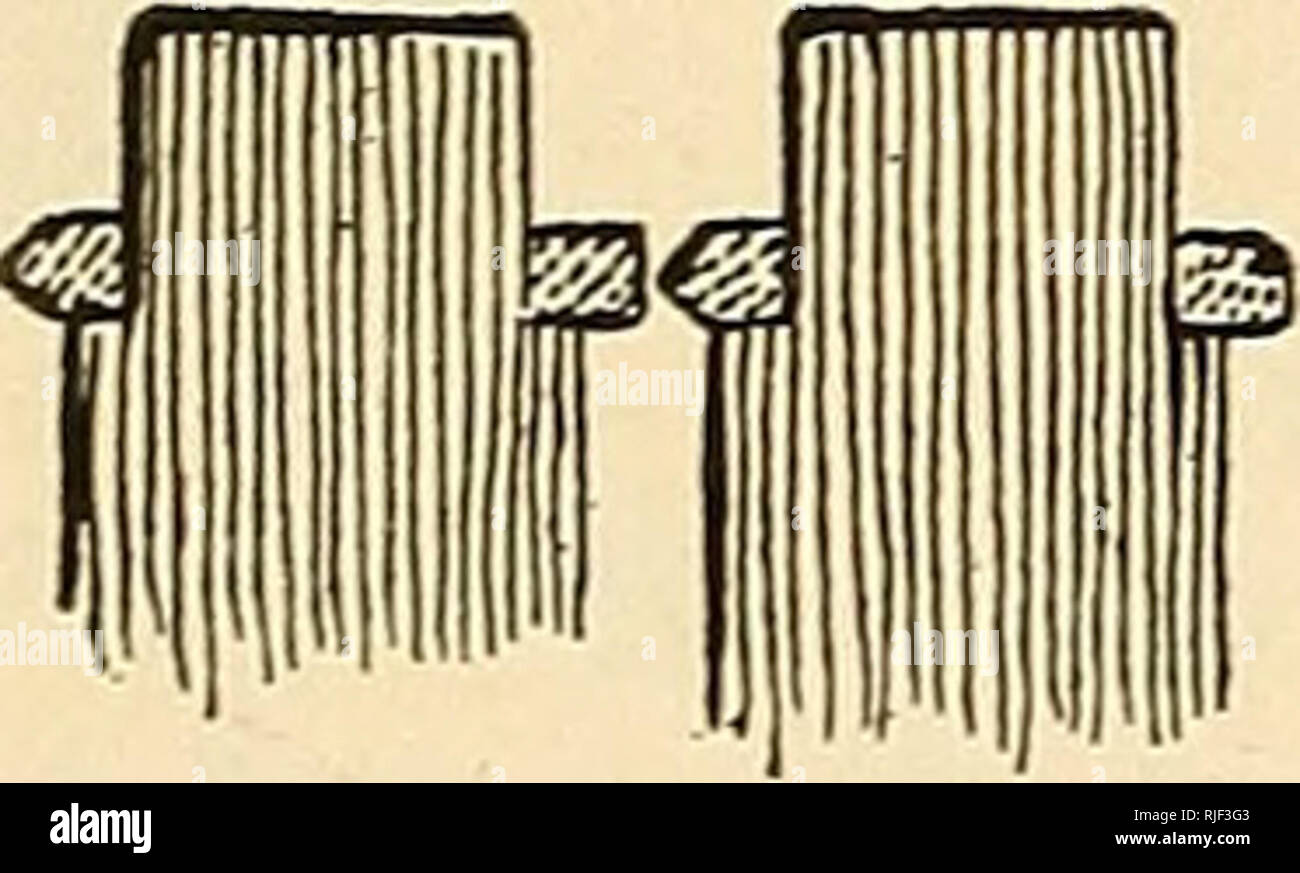 Bee Hive Bodies High Resolution Stock Photography And Images Alamy
