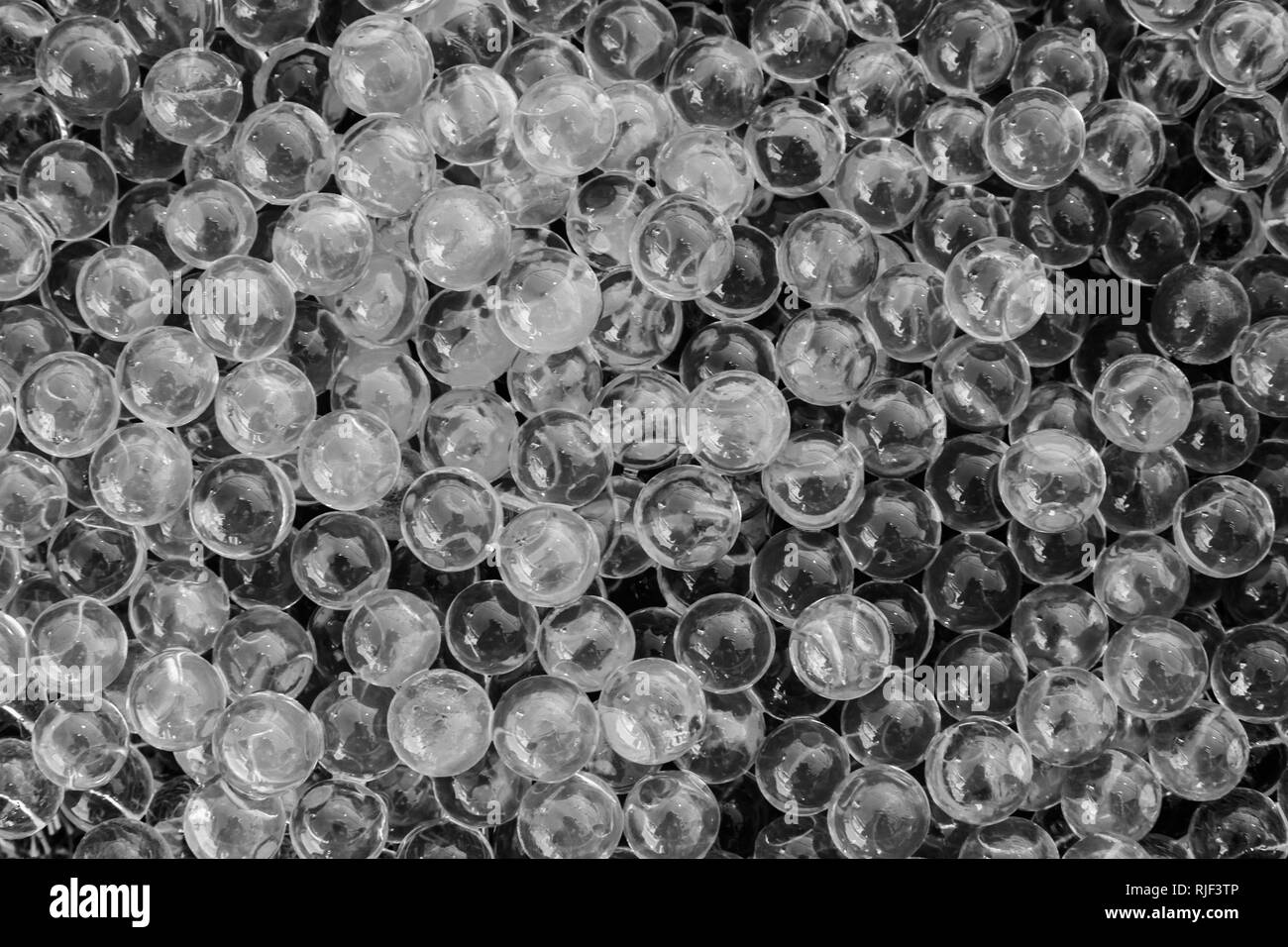 Water black and white gel balls with bokeh. Polymer gel. Silica gel. Balls of black and white hydrogel. Crystal liquid ball with reflection. Black and Stock Photo
