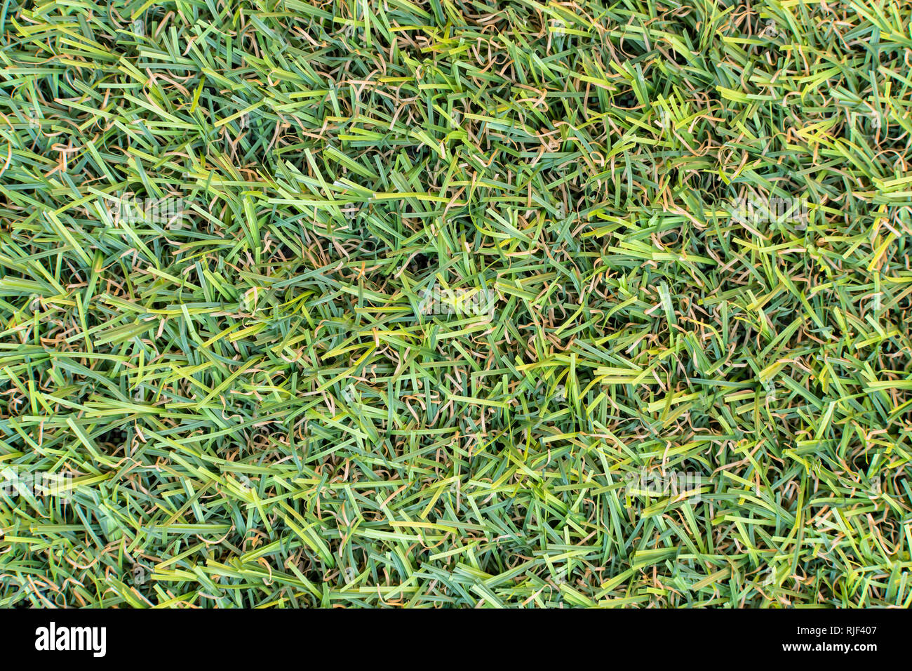 Artificial grass texture background Stock Photo - Alamy