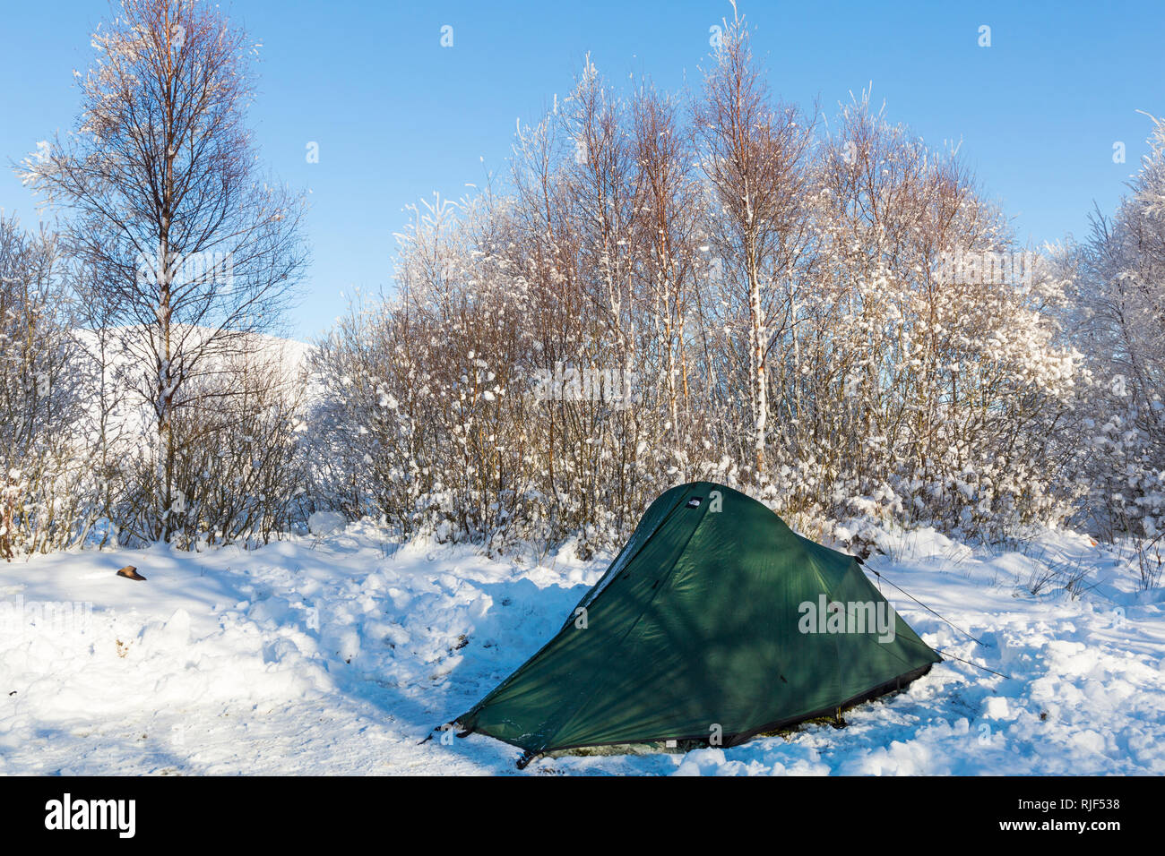 tent pitched in the snow in car parking space along the long road by Coupall Falls to Glen Etive at Rannoch Moor, Highlands, Scotland in Winter Stock Photo