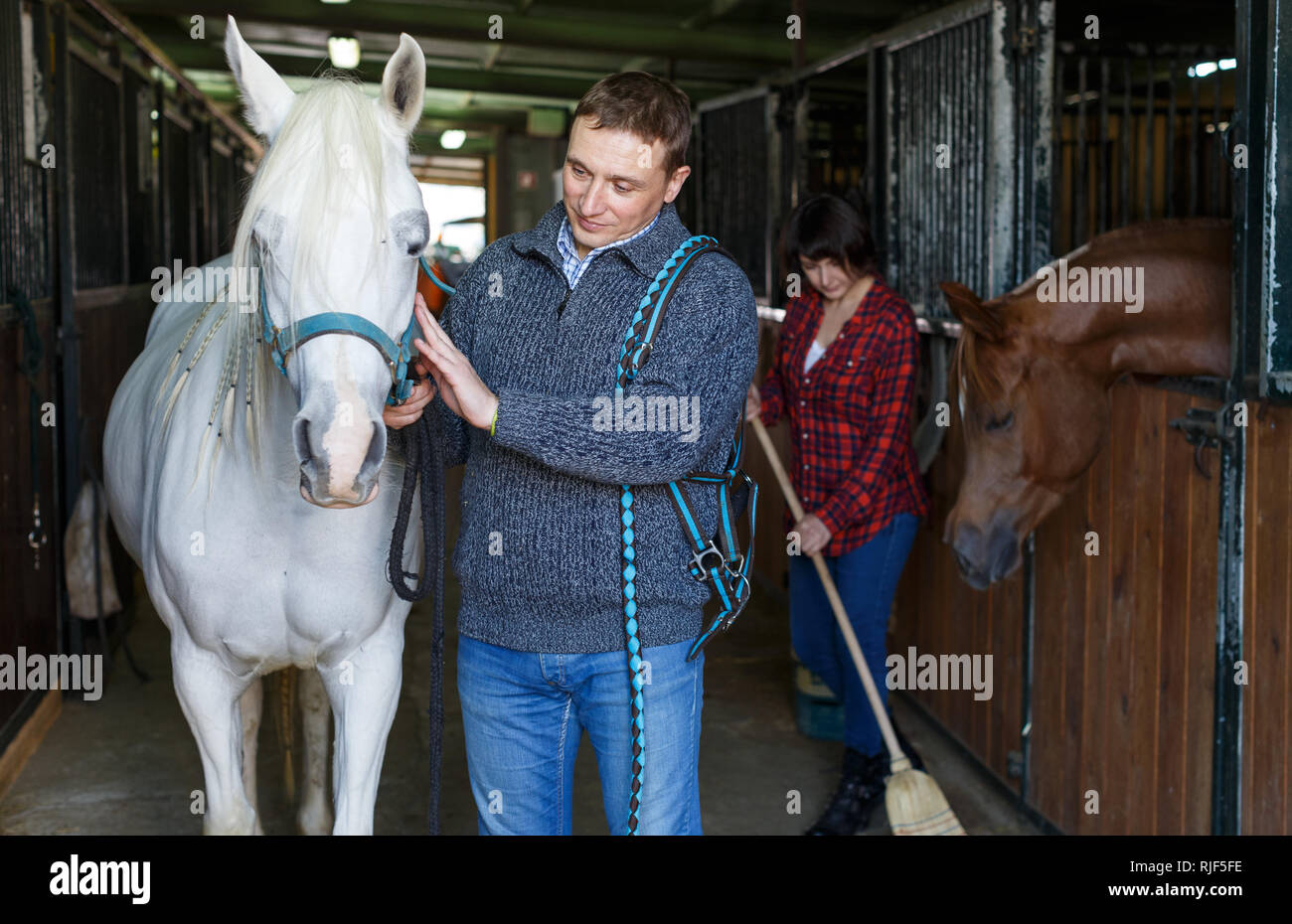Portrait of cheerful man horse farm worker standing at stable Stock