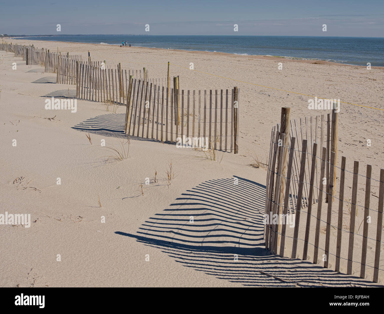 Edisto Island State Park, South Carolina sand fence to build and stabalize sand dune. Stock Photo