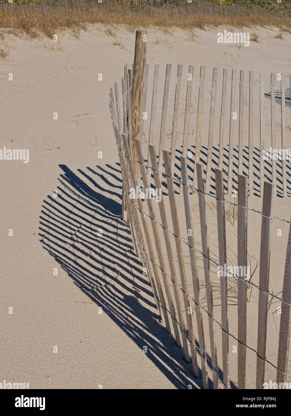 Edisto Island State Park, South Carolina sand fence to build and stabalize sand dune. Stock Photo