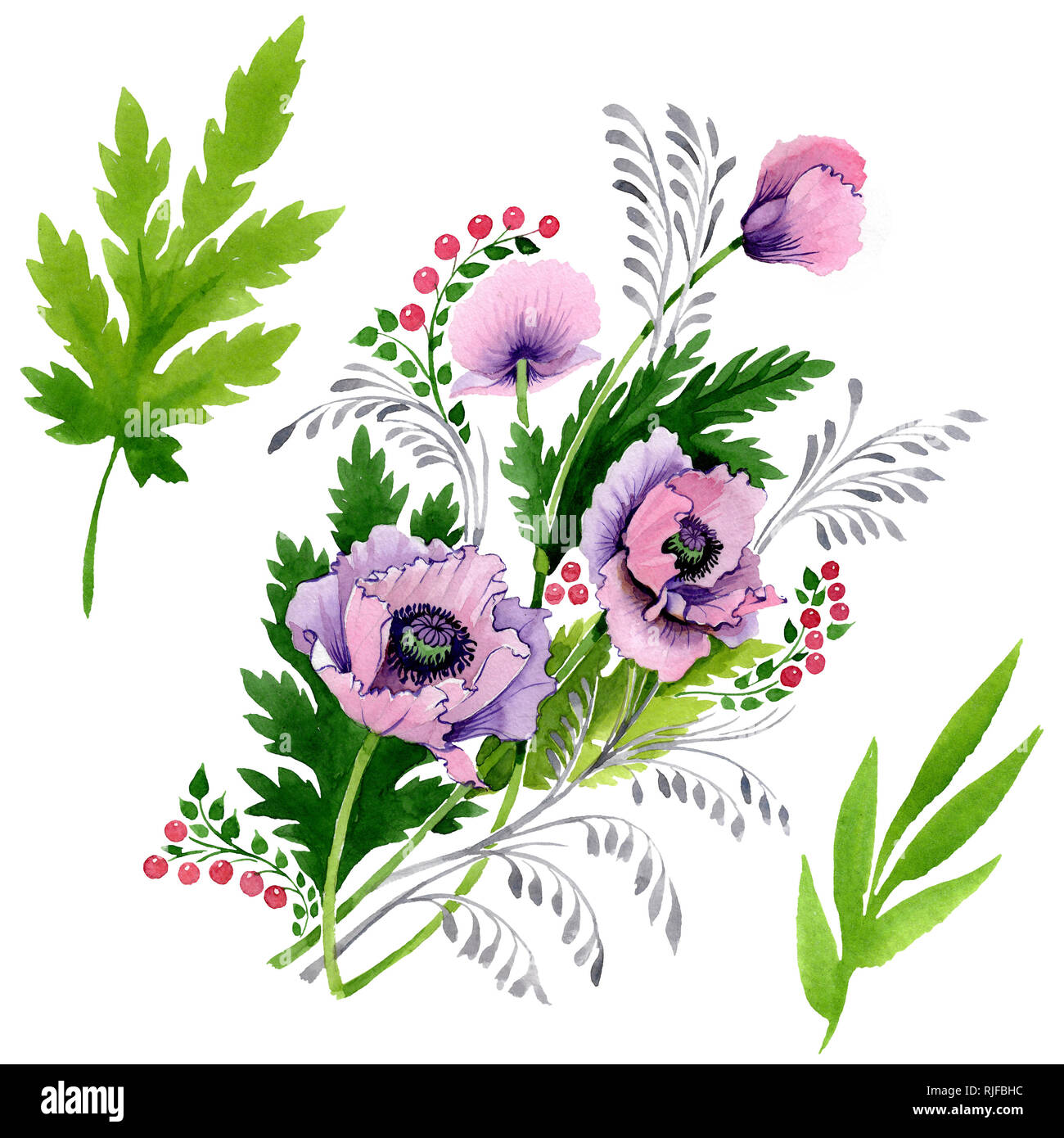 Pink Purple Poppy Floral Botanical Flower Wild Spring Leaf