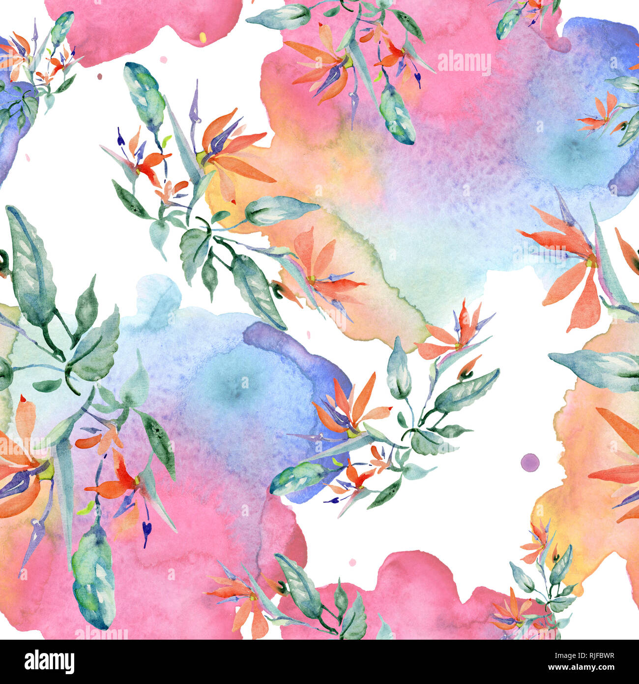 Bouquets Floral Botanical Flower Wild Spring Leaf Isolated Watercolor Background Illustration Set Watercolour Drawing Fashion Aquarelle Seamless B Stock Photo Alamy Bouquets Floral Botanical Flower Wild Spring Leaf Isolated Watercolor Background Illustration Set Watercolour Drawing Fashion Aquarelle Seamless B Stock Photo Alamy