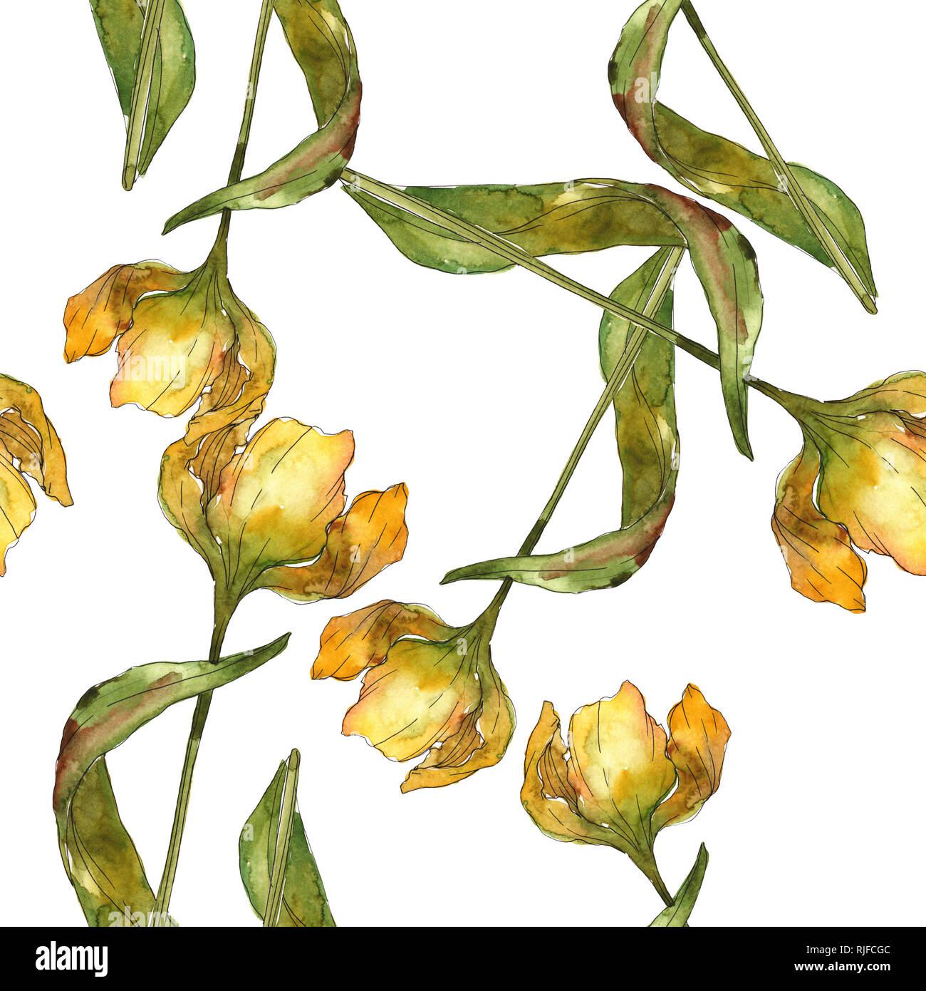 Yellow tulip botanical flower. Wild spring leaf isolated. Seamless ...