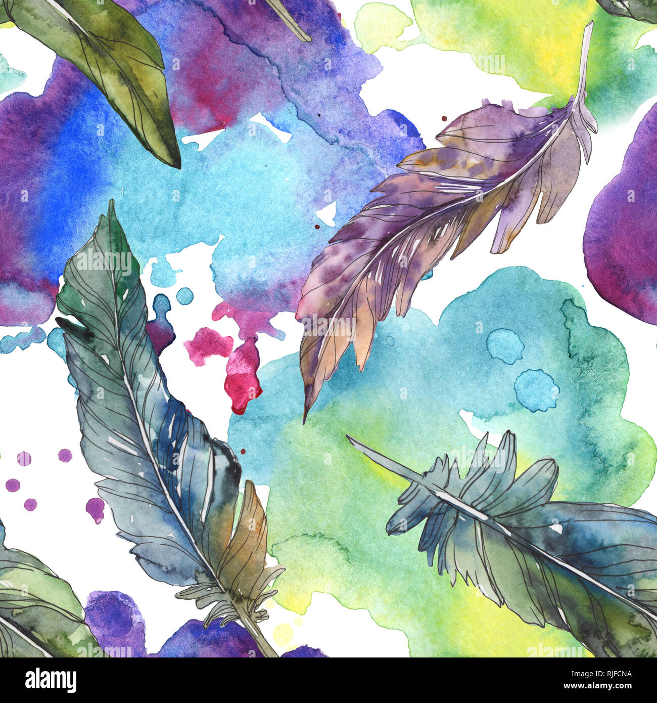 Bird feather from wing isolated. Watercolor background illustration set ...