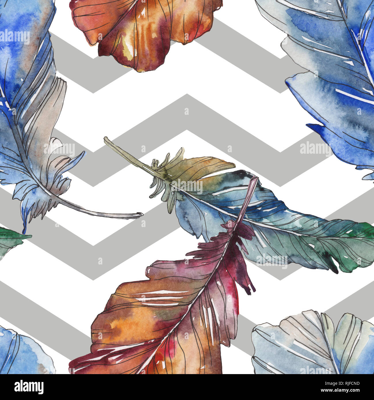 Bird feather from wing isolated. Watercolor background illustration set ...