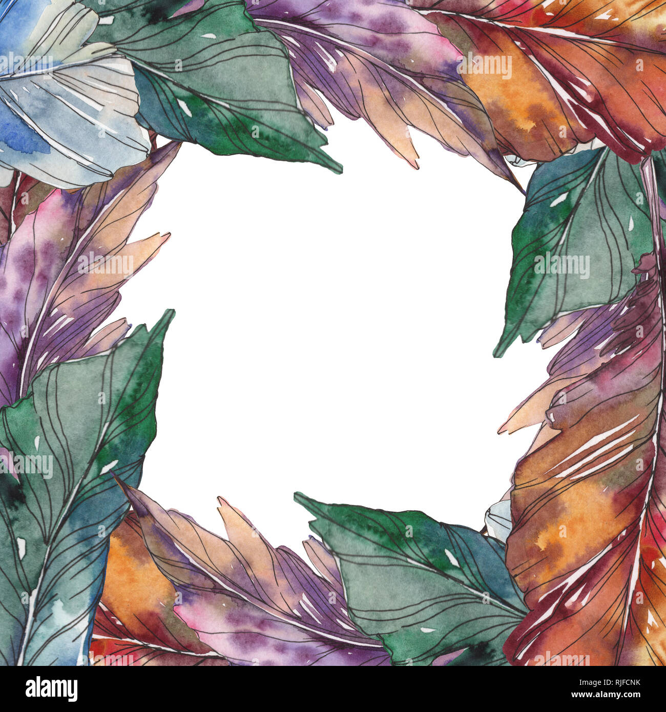 Bird feather from wing isolated. Watercolor background illustration set ...