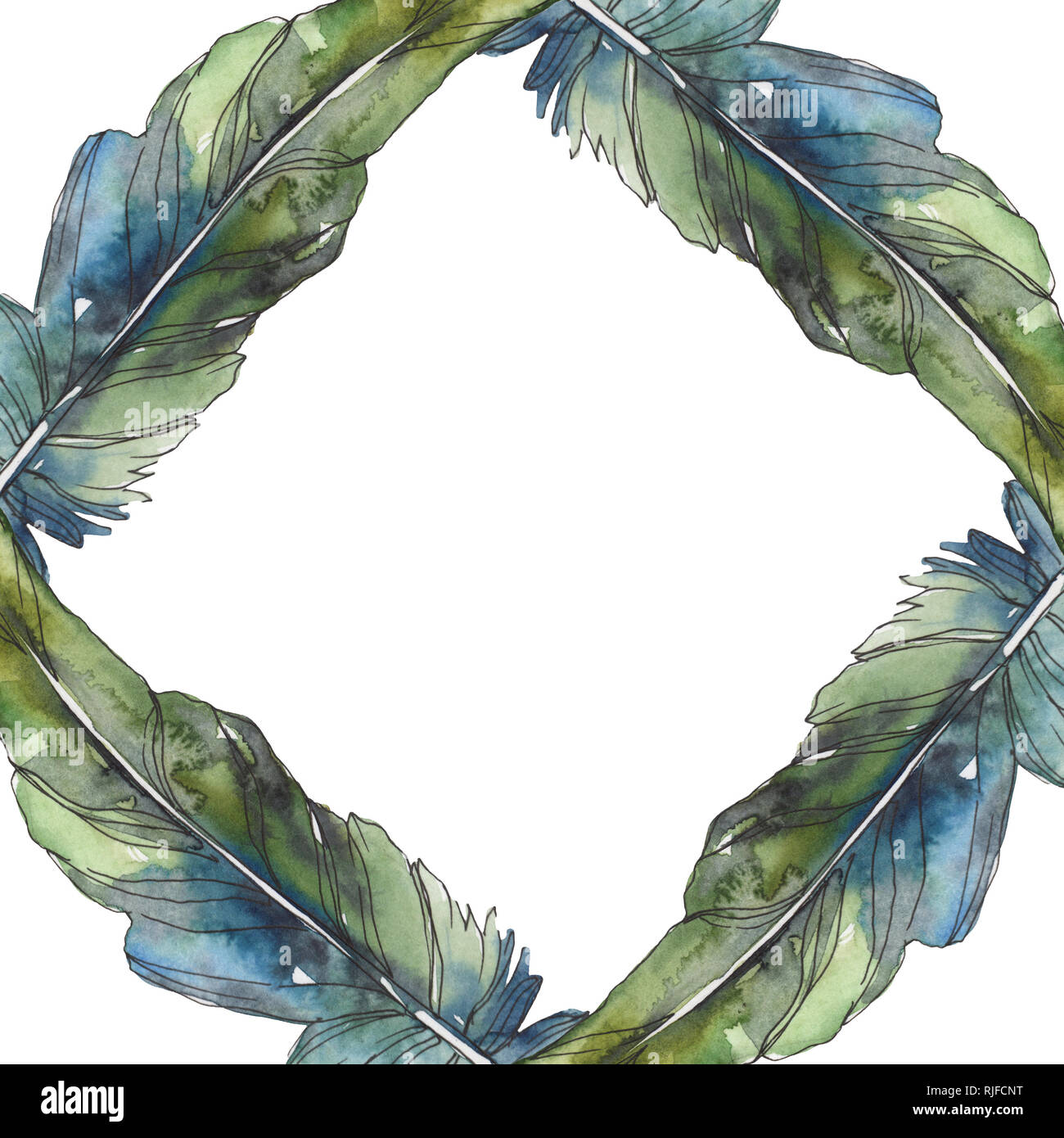 Bird feather from wing isolated. Watercolor background illustration set ...