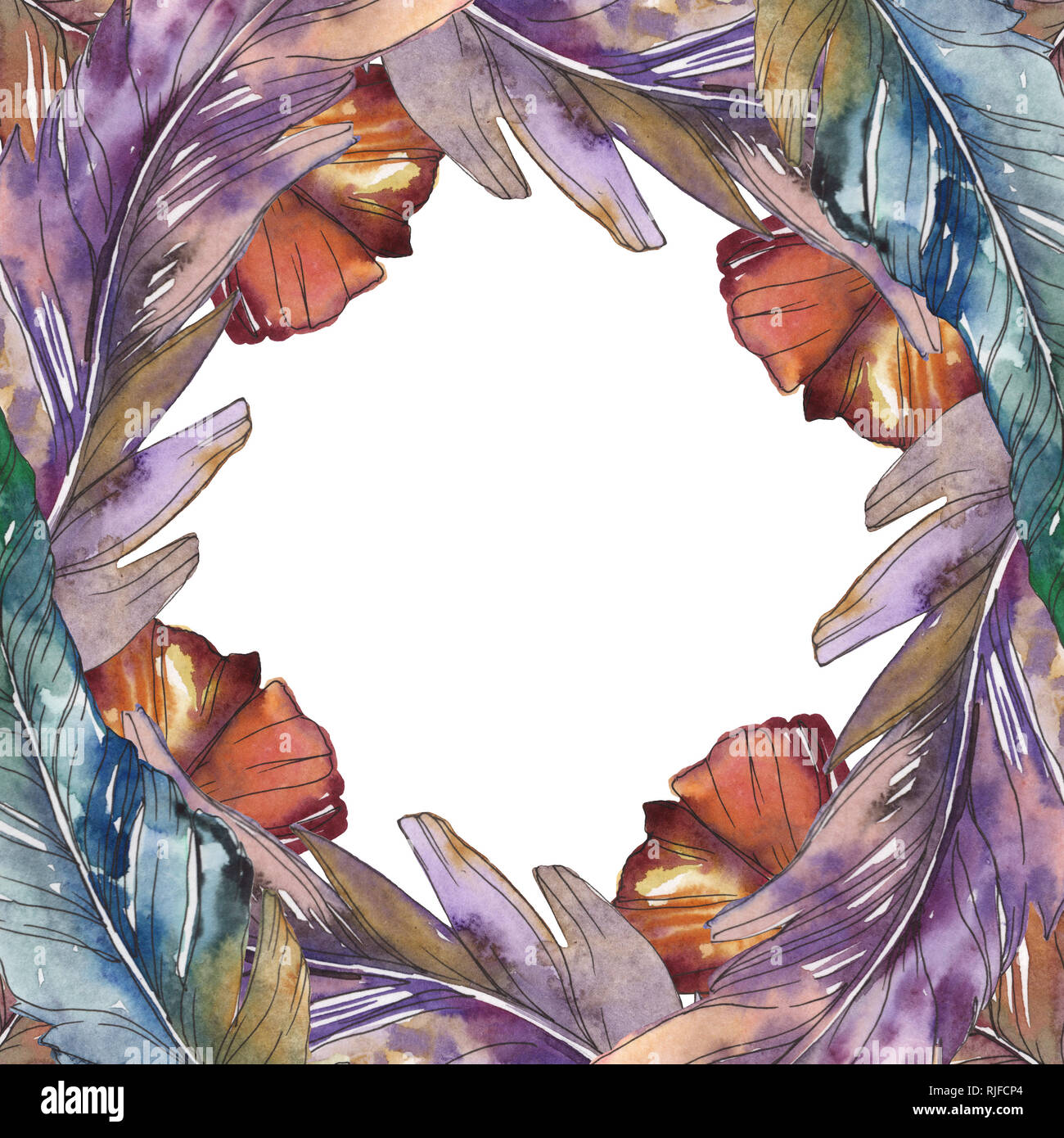 Bird feather from wing isolated. Watercolor background illustration set ...