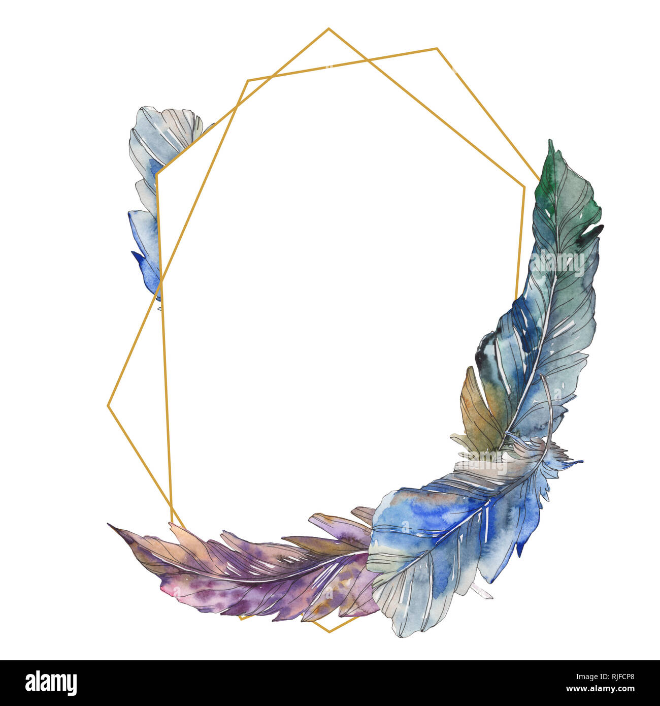 Bird feather from wing isolated. Watercolor background illustration set ...