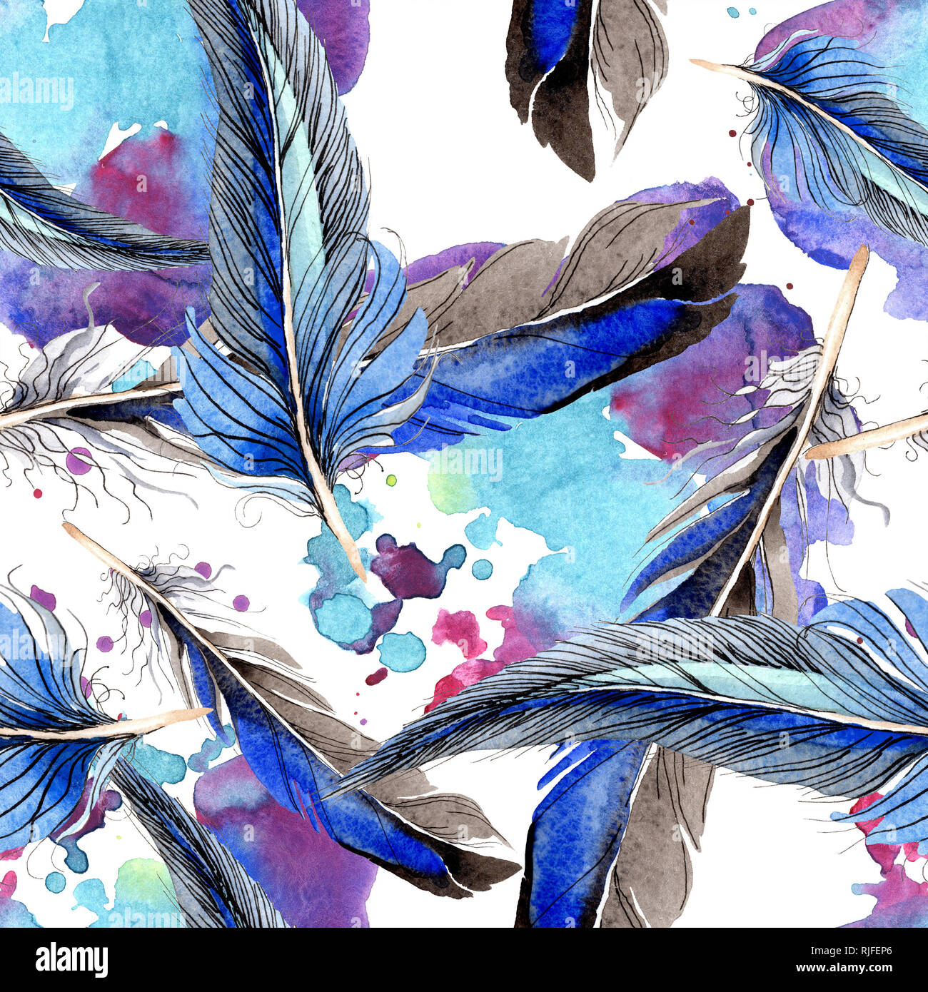 Bird feather from wing isolated. Watercolor background illustration set ...