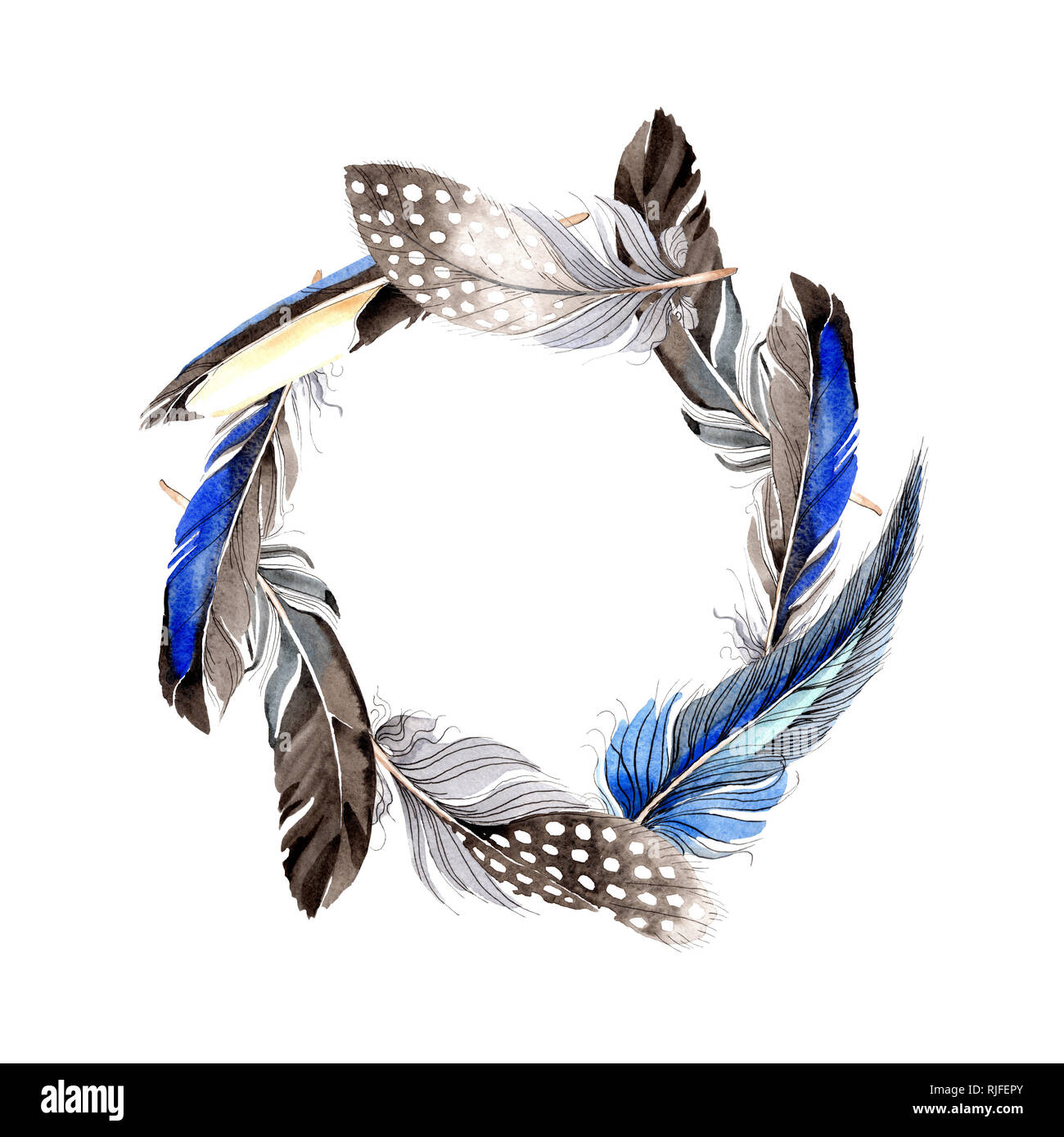Bird feather from wing isolated. Watercolor background illustration set ...