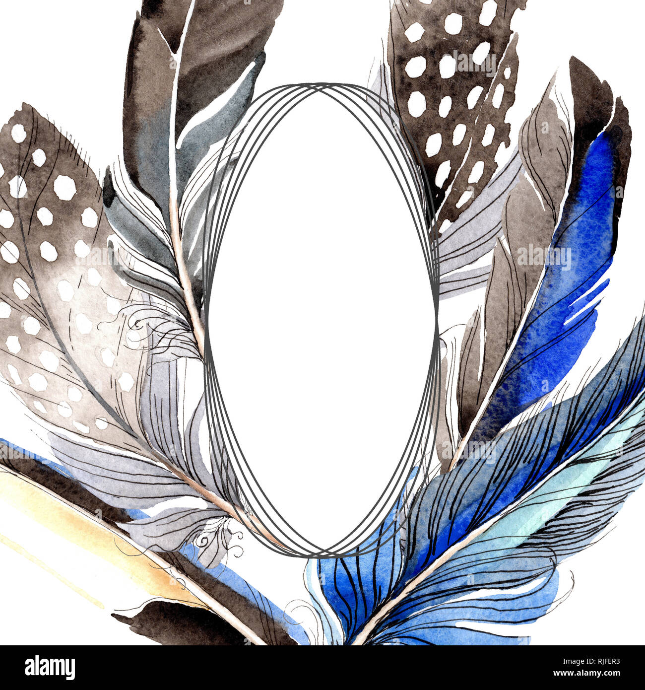 Bird feather from wing isolated. Watercolor background illustration set ...
