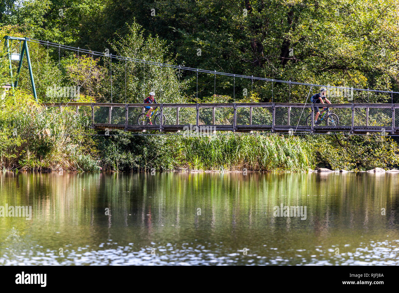 Cyclists on a trip ride on a foot-bridge across the Dyje River in Podyji National Park, South Moravia, Czech Republic footpath Stock Photo