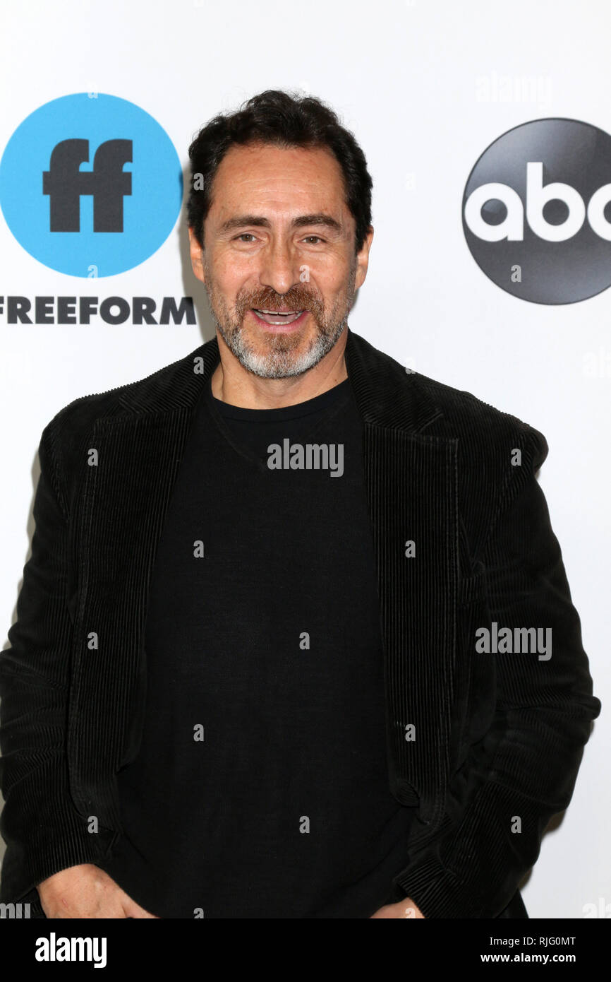 February 5, 2019 - Pasadena, CA, USA - LOS ANGELES - FEB 5: Demian