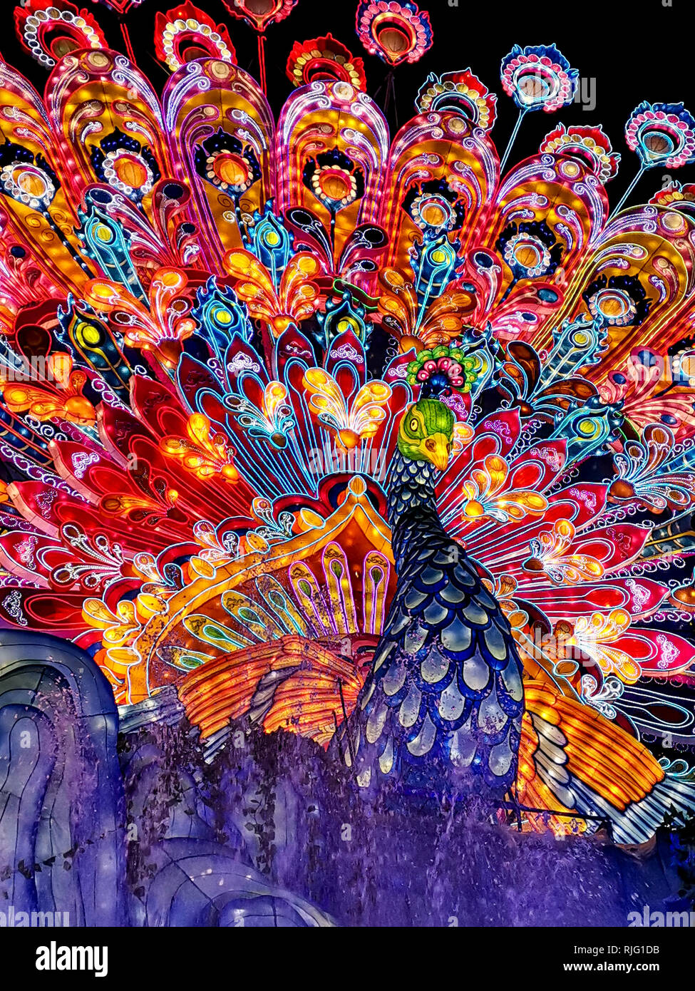 Zigong. 5th Feb, 2019. Photo taken on Feb. 5, 2019 shows a peacock-shaped lantern at a lantern fair held in Zigong, southwest China's Sichuan Province. Over 130 lantern groups were displayed at the event. Credit: Zhang Chaoqun/Xinhua/Alamy Live News Stock Photo