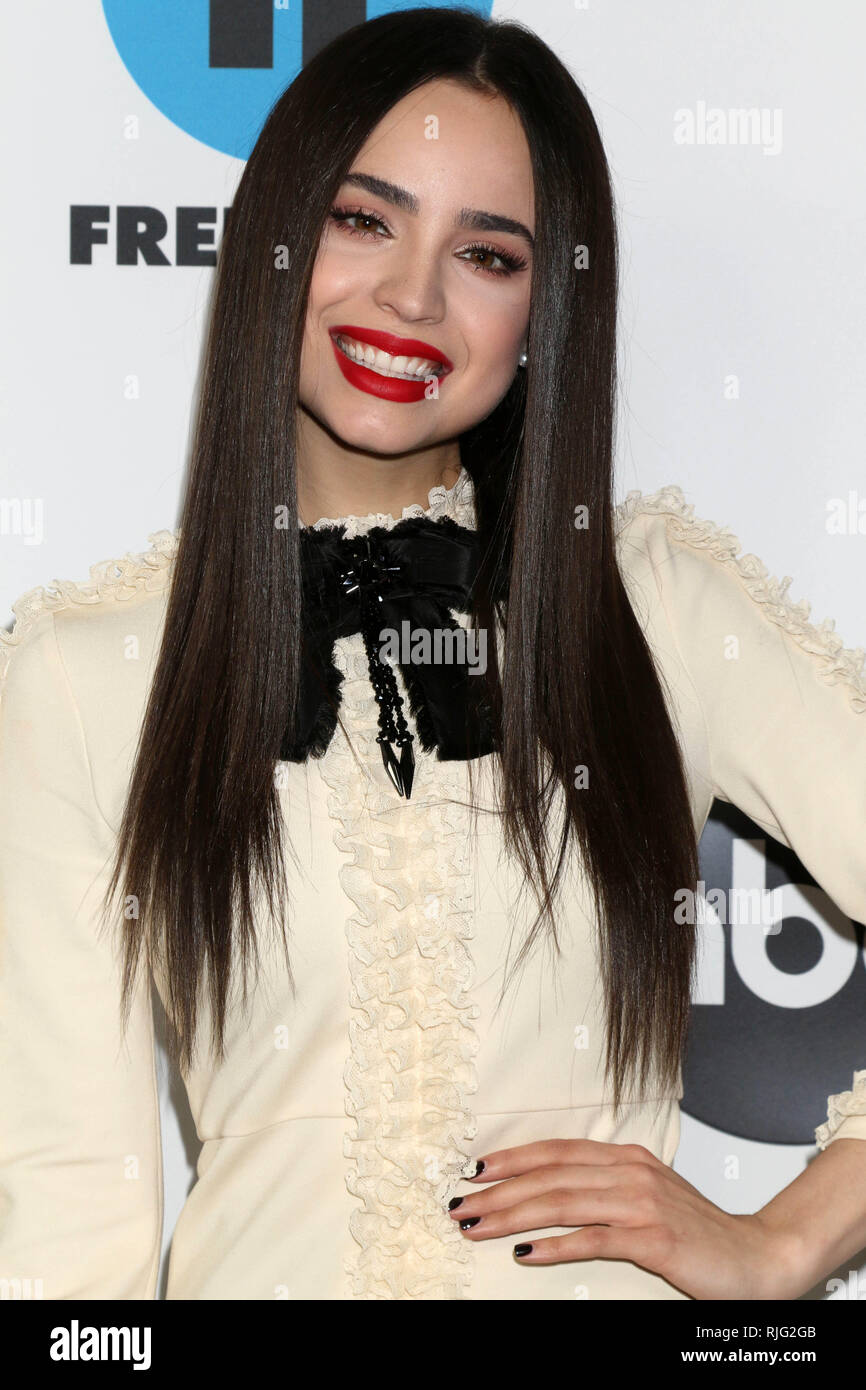 LOS ANGELES - FEB 5:  Sofia Carson at the Disney ABC Television Winter Press Tour Photo Call at the Langham Huntington Hotel on February 5, 2019 in Pasadena, CA Credit: David Edwards/MediaPunch Stock Photo