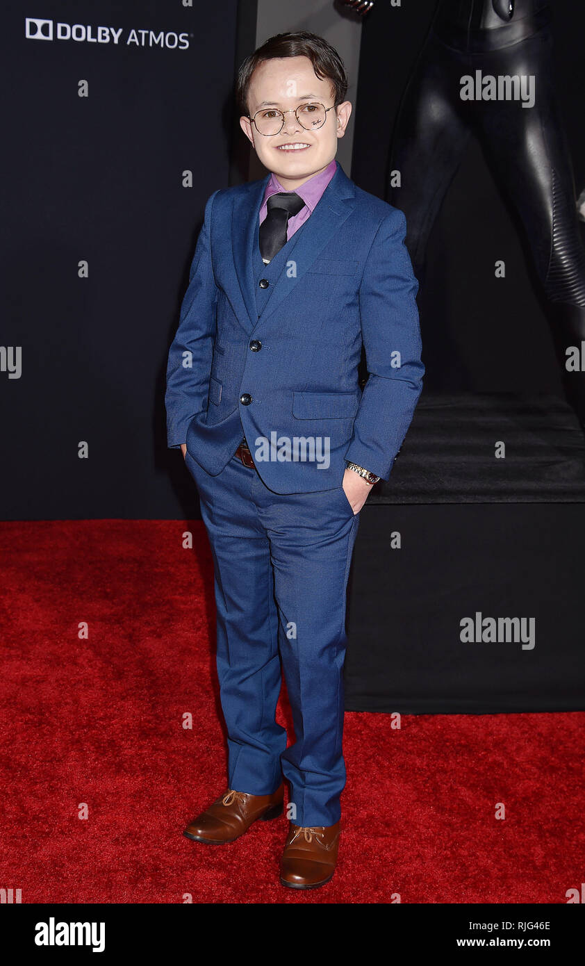 Westwood, United States. 05th Feb, 2019. WESTWOOD, CA - FEBRUARY 05 ...