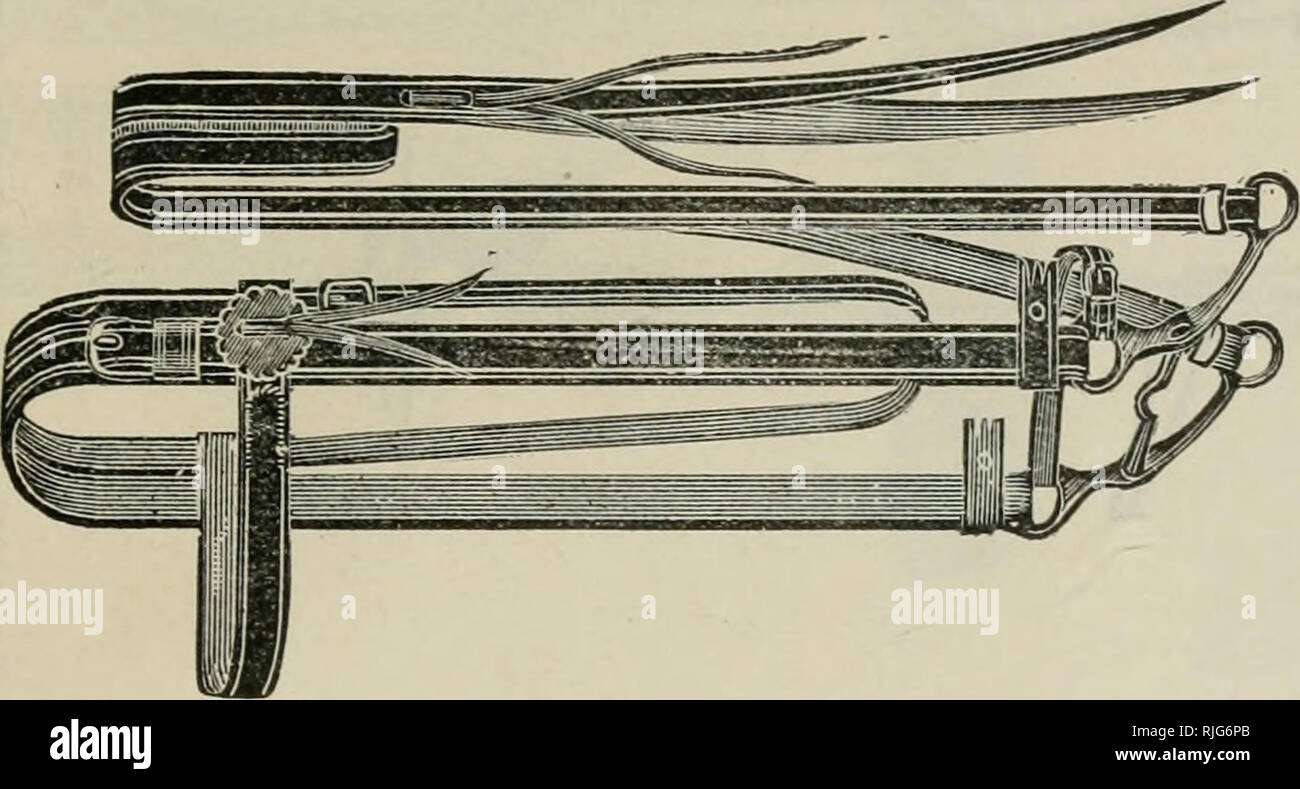 Oc Eo High Resolution Stock Photography And Images Alamy
