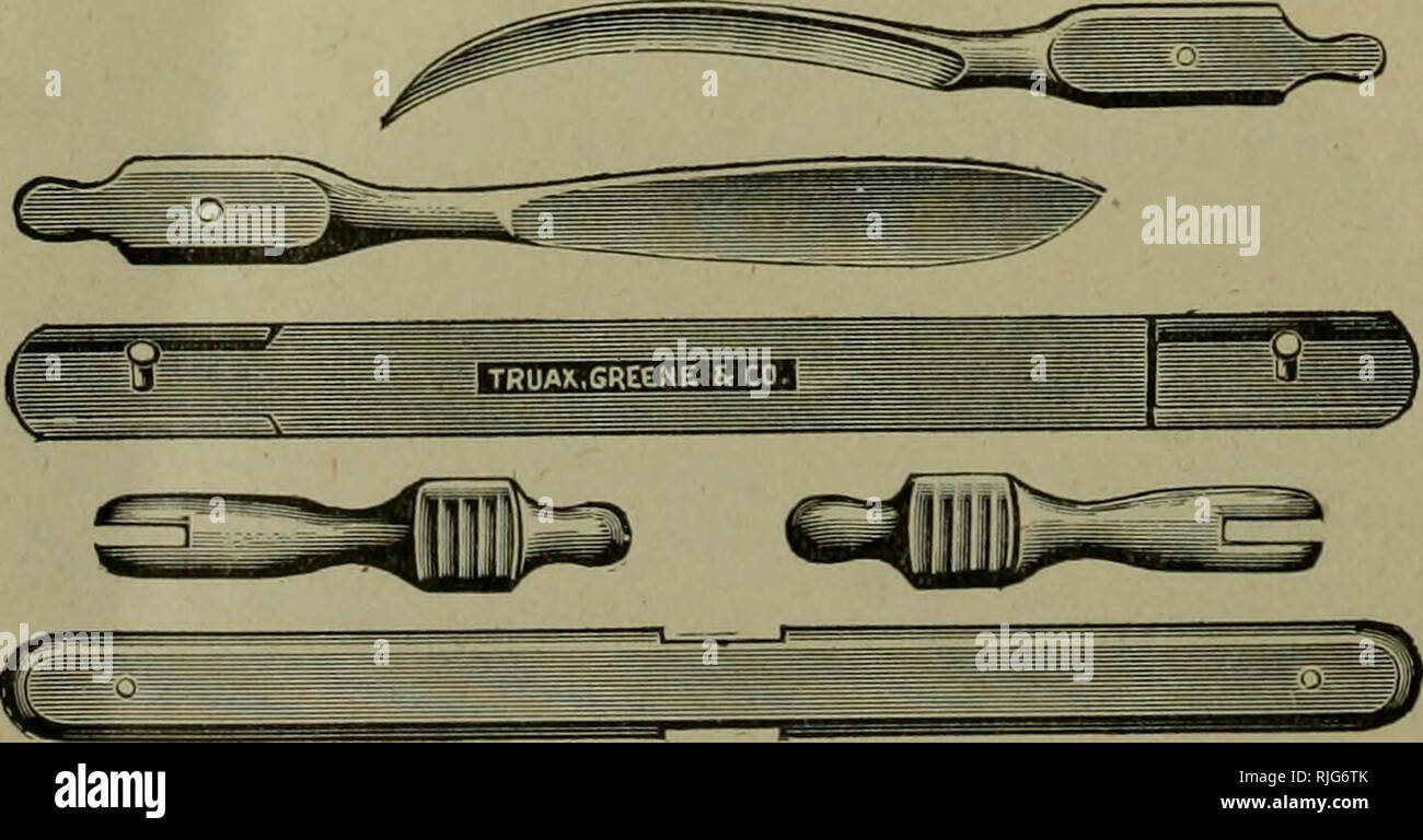 . Catalogue of veterinary instruments. Veterinary instruments and apparatus. Fig. 10272. Truax. Greene &amp; Co.'s Aseptible Pocket Case Knife, Straight Bis- toury and Tenaculum, $2.00. Handle and single blade $1.25. Fig. 10273. Truax, Greene &amp; Co.'s Aseptible Pocket Case Knife, Scalpel and Curved Sharp Point Bistoury, $2.00. Handle and single blade.. $1.25 Interchangeable blades. All combinations furnished at the same price. This is the most perfect and satisfactory double pocket case knife yet devised. It is perfectly aseptible, strongly made, and having no springs or small parts, it is  Stock Photo