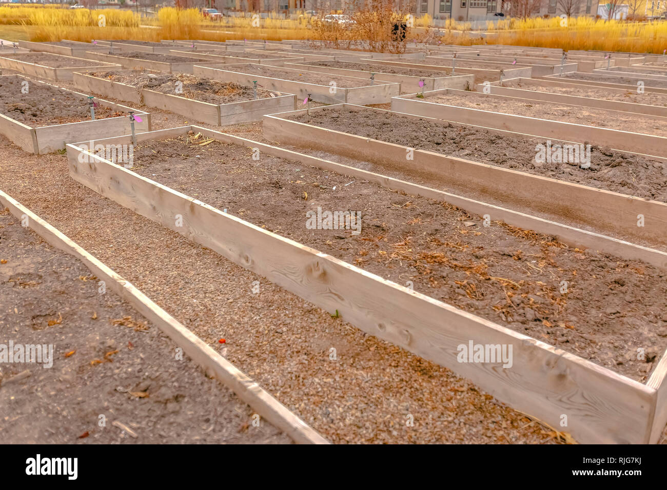 Raised garden beds with faucets in Daybreak Utah Stock Photo
