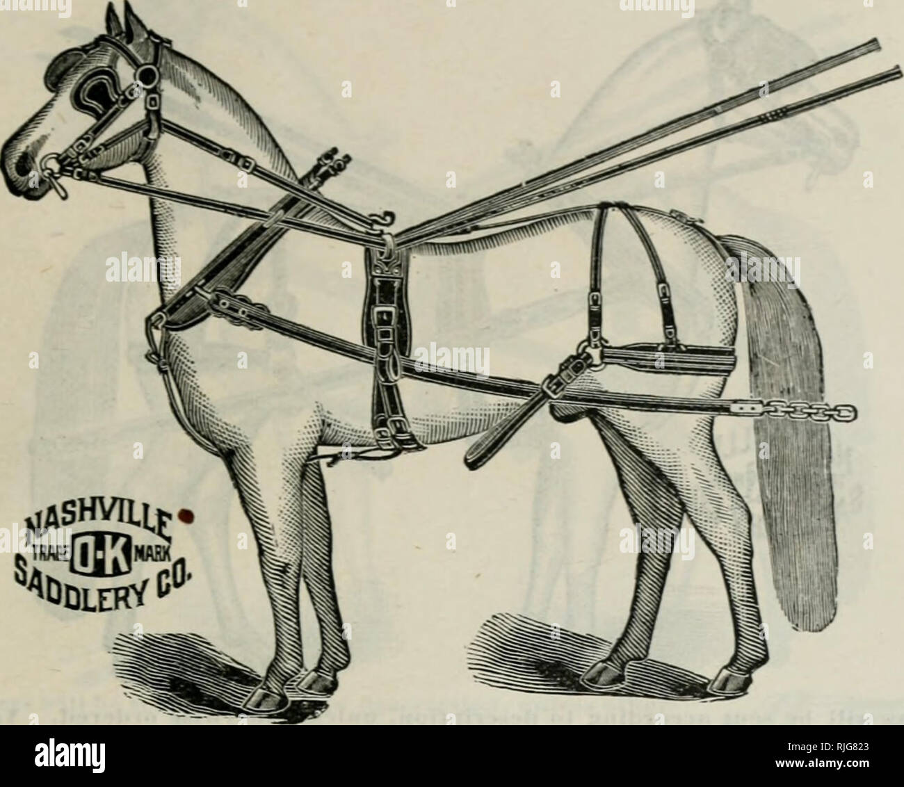 Harness saddlery collar hames hires stock photography and images Alamy