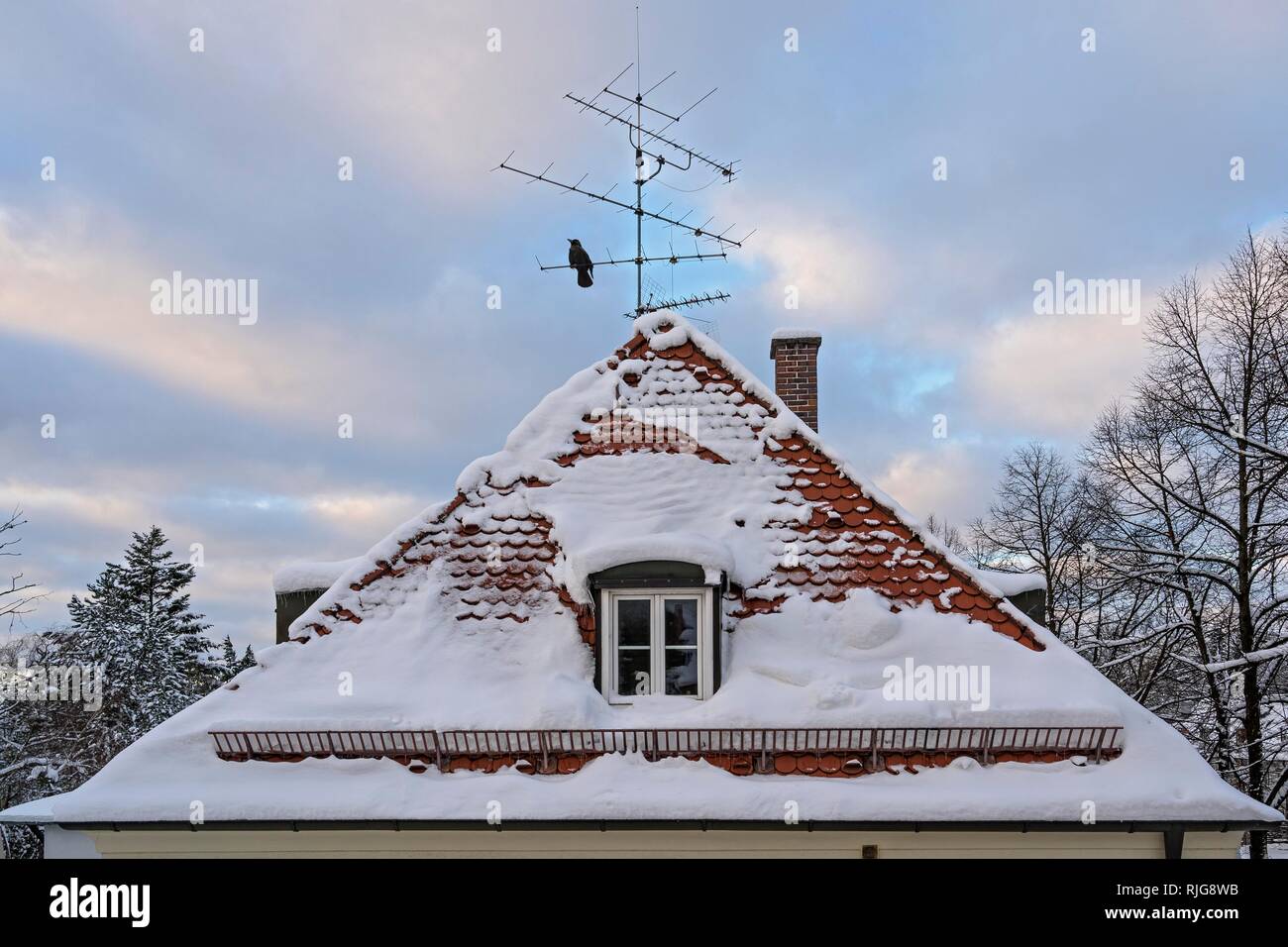 House roof with snow in winter, Munich, Upper Bavaria, Bavaria, Germany Stock Photo