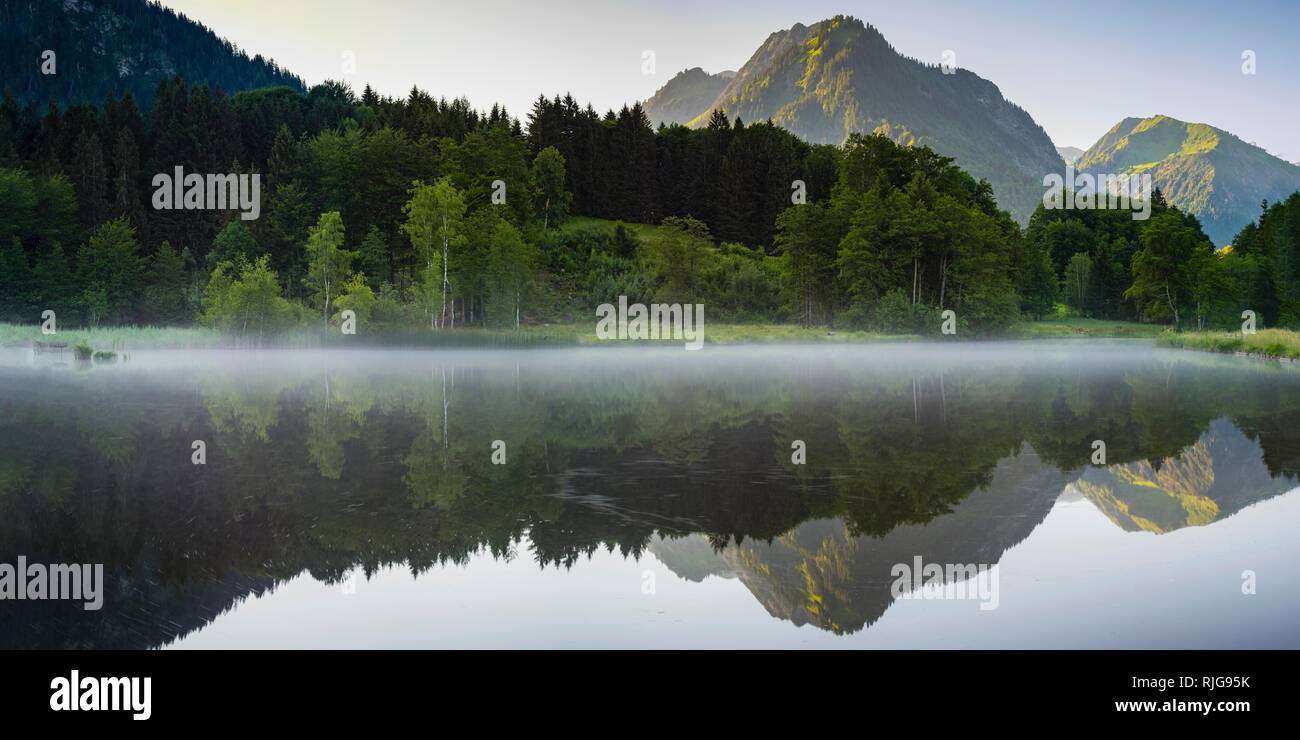 Moor pond with morning haze, behind the mountain Himmelschrofen, 1791m, near Oberstdorf, Oberallgäu, Allgäu, Bavaria, Germany Stock Photo