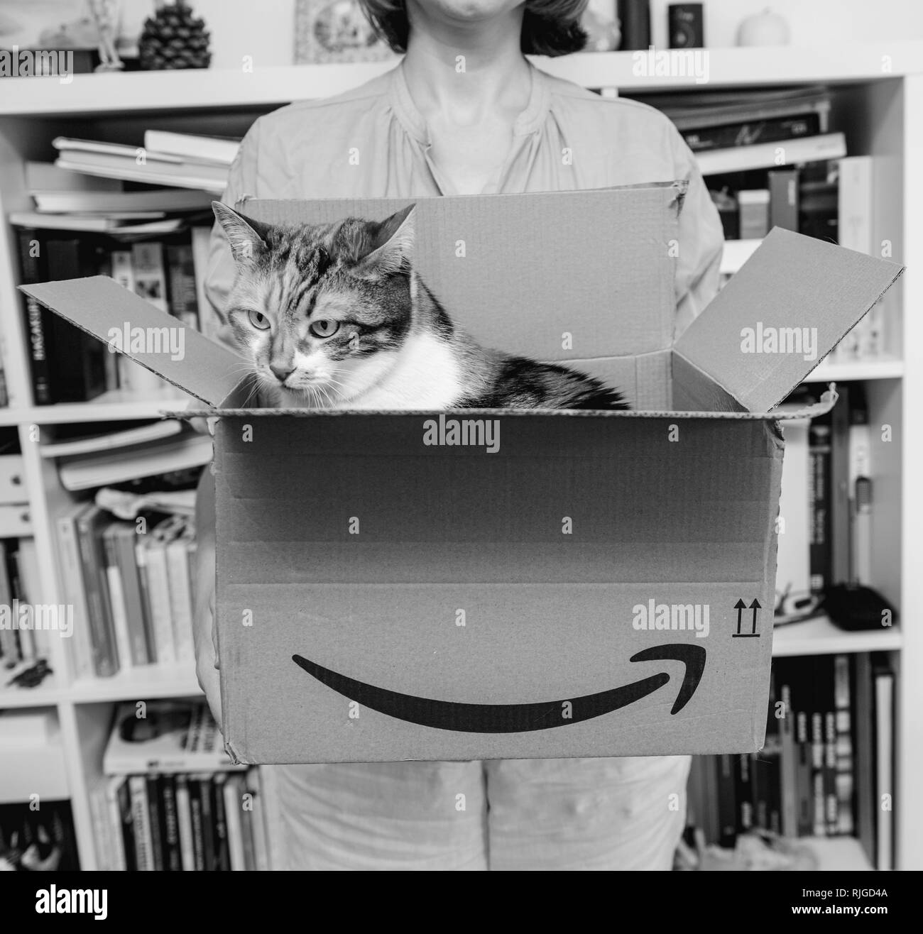 shopping online amazon prime