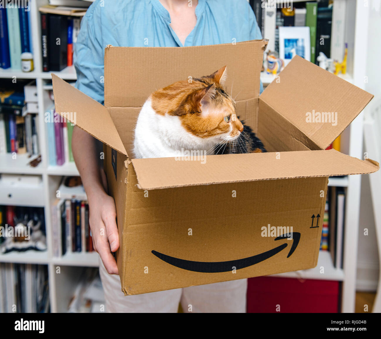 PARIS, FRANCE JUL 4, 2018 Curious pet cat exits from Amazon Prime