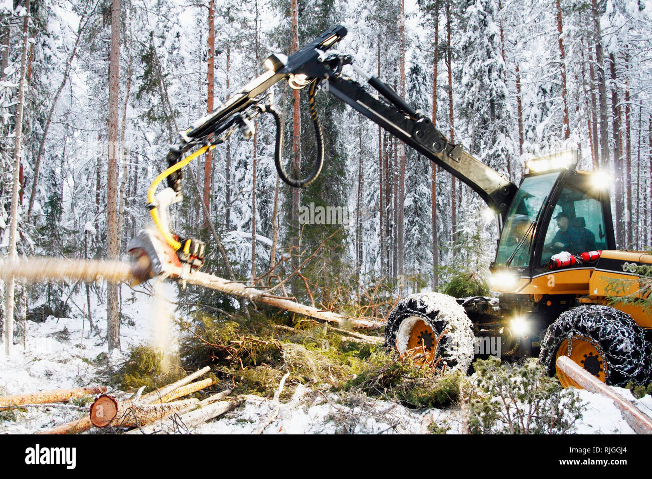 Logging vehicle carrying timber Stock Photo Alamy
