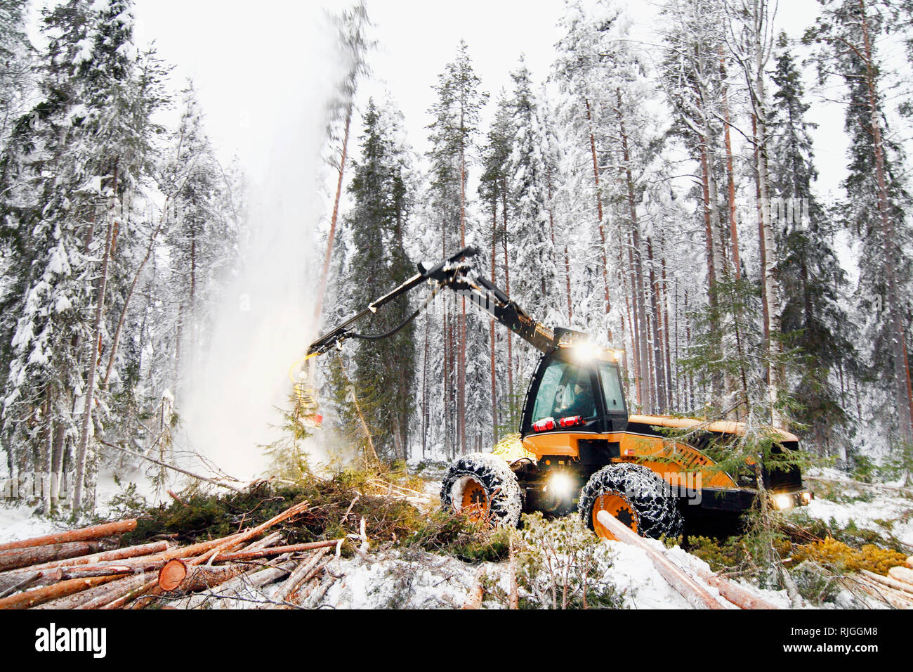Logging vehicle carrying timber Stock Photo