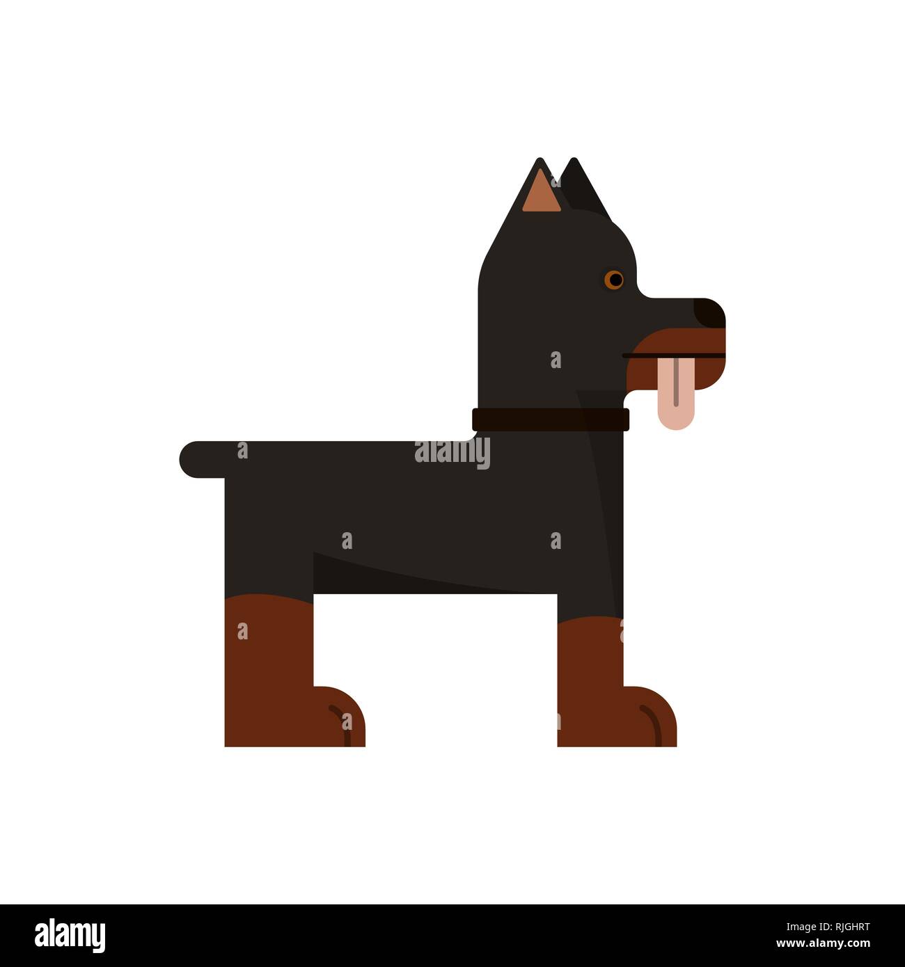 Doberman is stand. Pedigree dog. Vector illustration. Flat icon. Tongue out Stock Vector