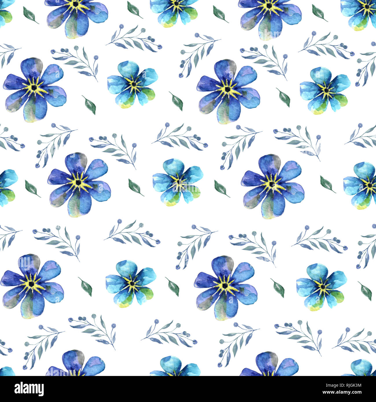 Seamless Hand Painting Watercolor Pattern With Blue Forget Me Nots Flowers On A White Background Illustration Stock Photo Alamy