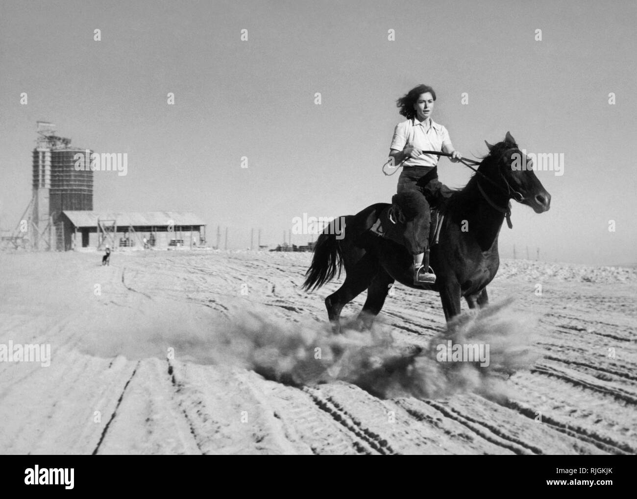 middle east, israel, negev desert, 1950 Stock Photo