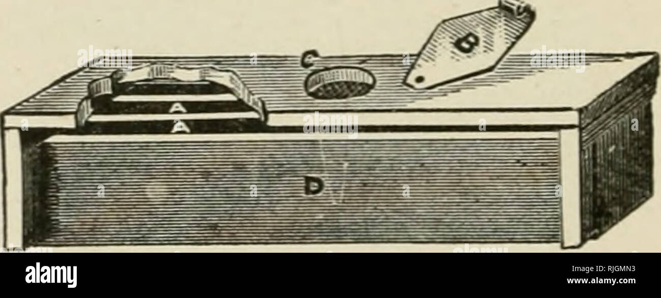 Bees And Honey Or The Management Of An Apiary For Pleasure And