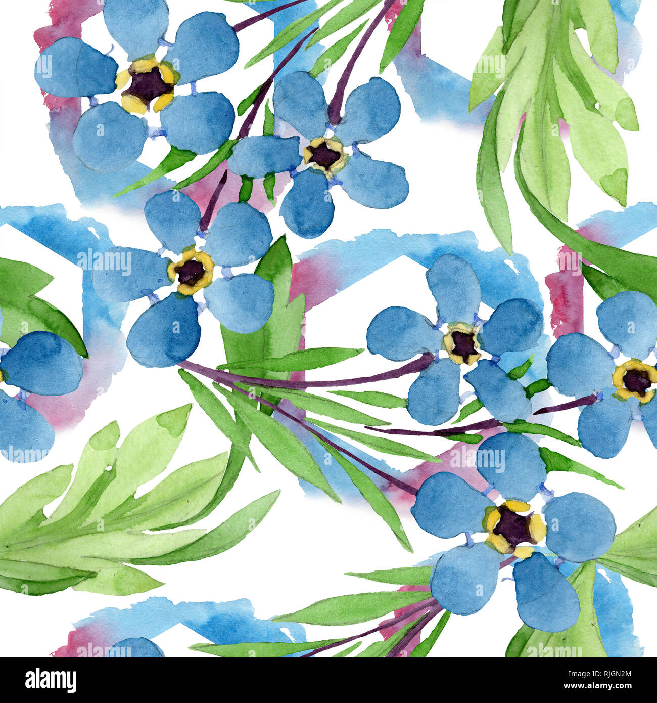 Page 2 Forget Me Nots Drawing High Resolution Stock Photography And Images Alamy