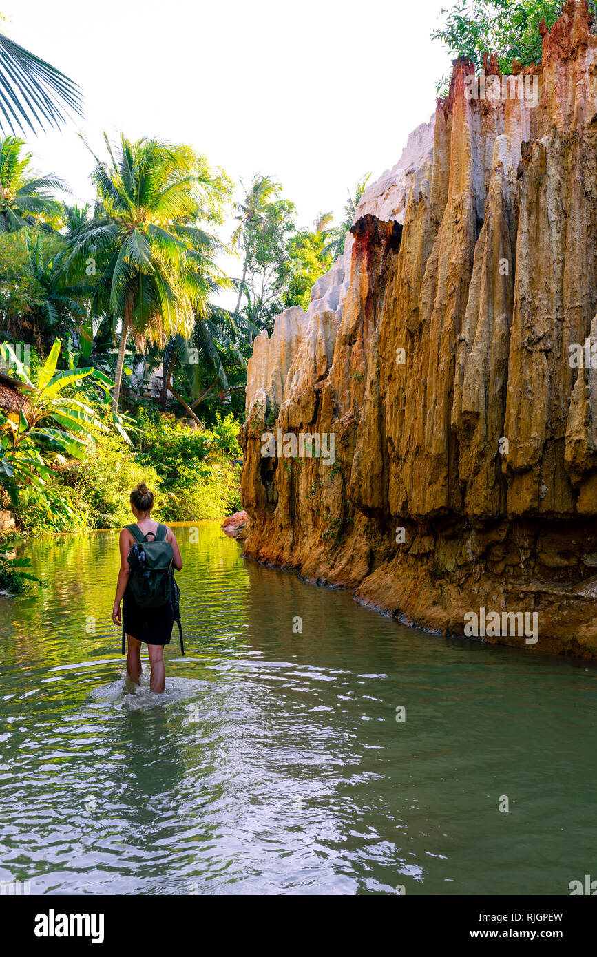 Fairy Stream Canyon. Red river between rocks and jungle. Mui Ne. Vietnam. Stock Photo