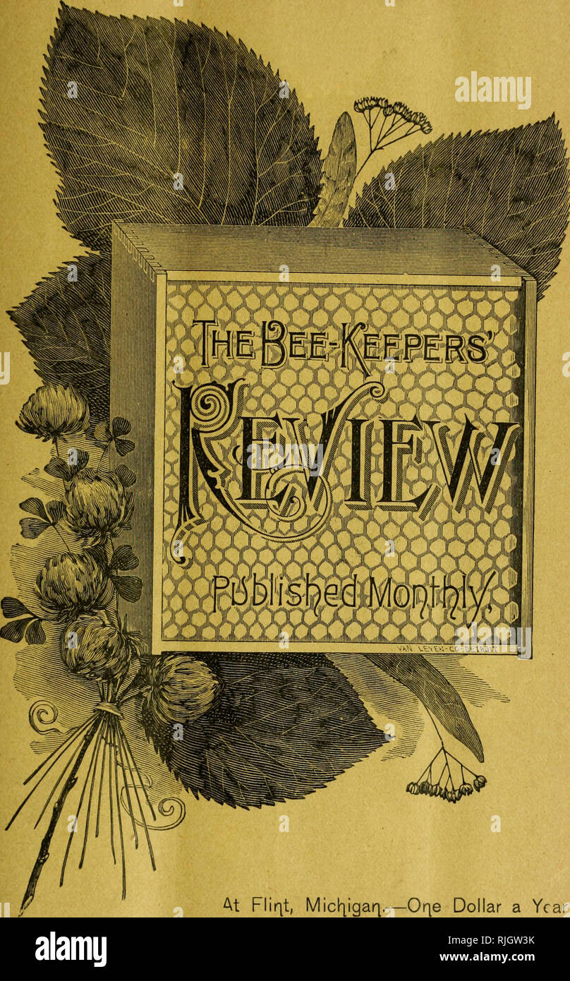 . The Bee-keepers' review. Bee culture. SEP., 1896.. ri, Micl^igaq.—Oqe Dollar a Year. Please note that these images are extracted from scanned page images that may have been digitally enhanced for readability - coloration and appearance of these illustrations may not perfectly resemble the original work.. National Bee-keepers' Association. [Flint, Mich. : s. n. Stock Photo