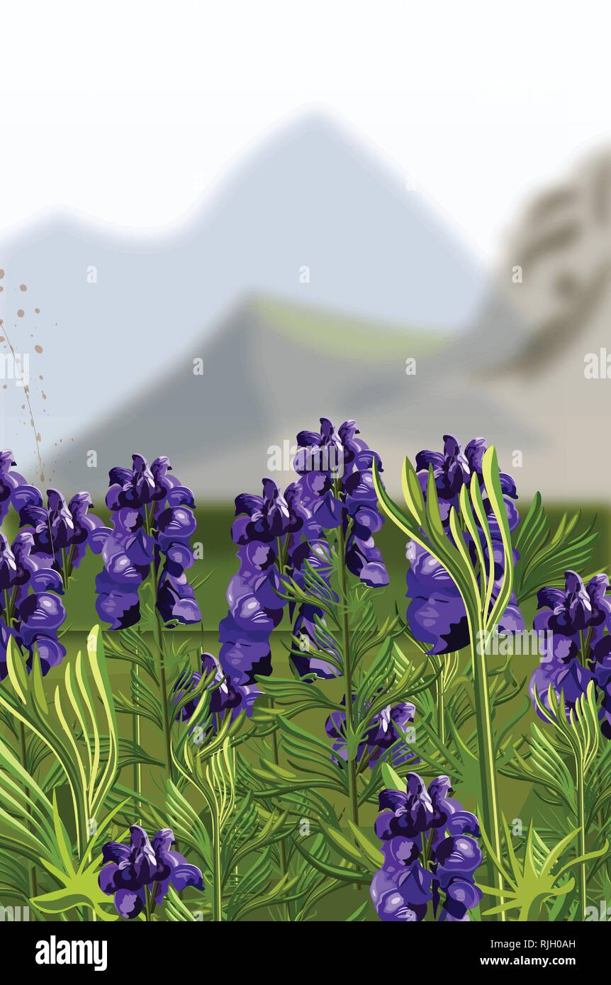 Lavender field Vector illustration. Mountains hills on background Stock Vector