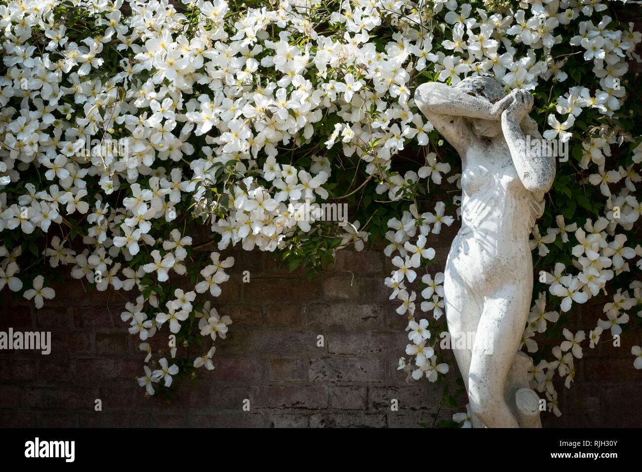 shy maiden garden statue Stock Photo Alamy