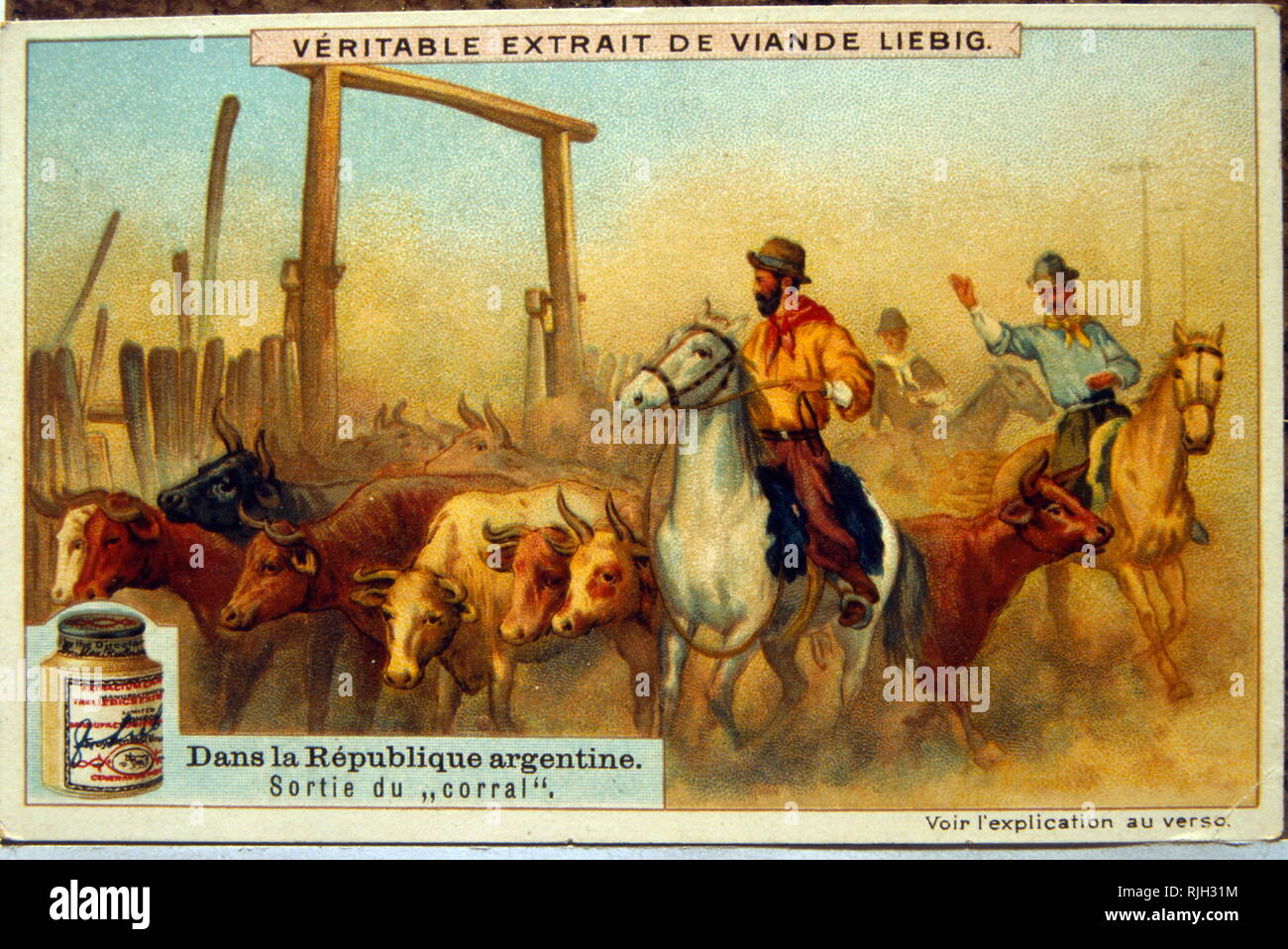 Liebig card showing South American Gauchos with cattle in Argentina 1900 Stock Photo