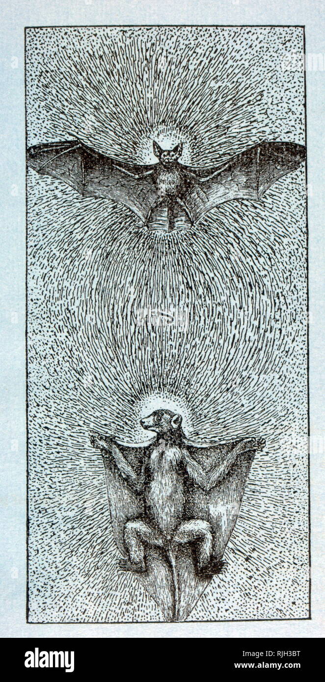 At Eye Level - Paramthe, 1949, drawing by Max Ernst (1891 – 1976) German-American, painter, sculptor, graphic artist, and poet. Ernst was a primary pioneer of the Dada movement and Surrealism. Stock Photo