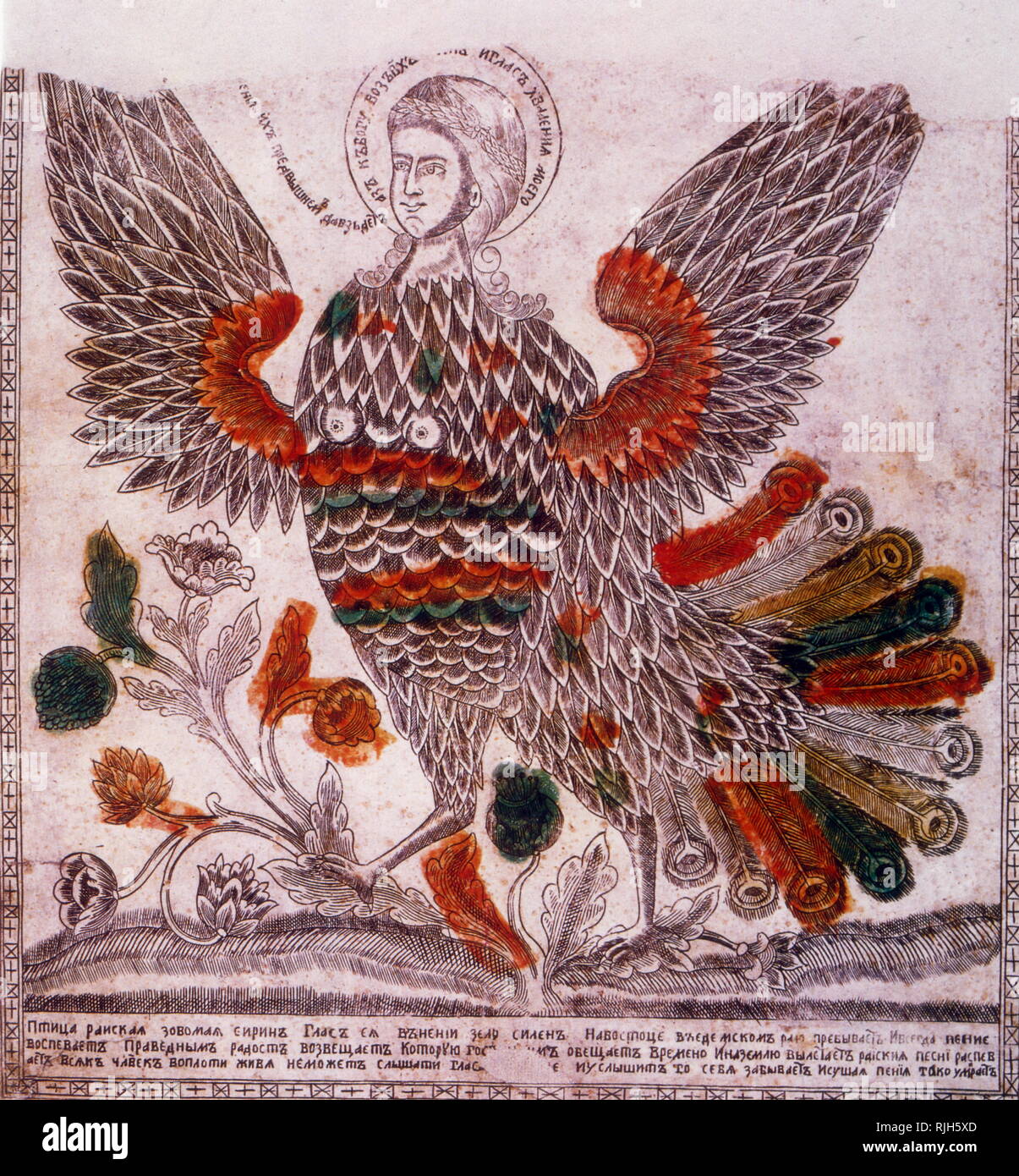 Traditional 18th century, Russian woodcut of a bird of paradise Stock Photo