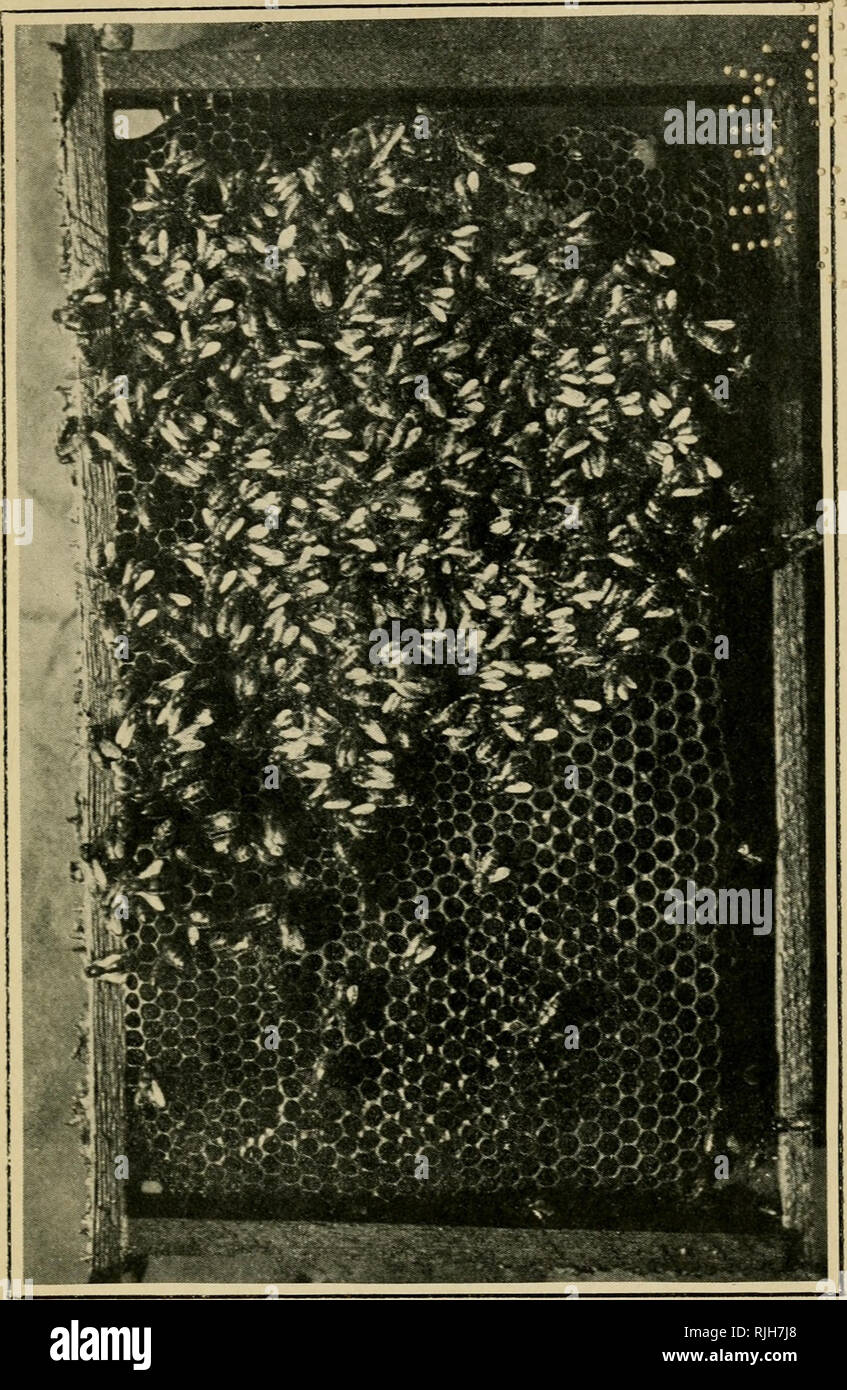 Page 2 Wa Rt High Resolution Stock Photography And Images Alamy