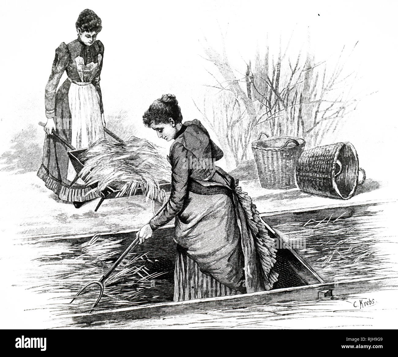 An engraving depicting female gardeners preparing hotbeds. At this date, establishments were being set up in France, Germany and Britain to give women sound training which would enable them to earn a living as market gardeners or as gardeners in private employment. Dated 19th century Stock Photo