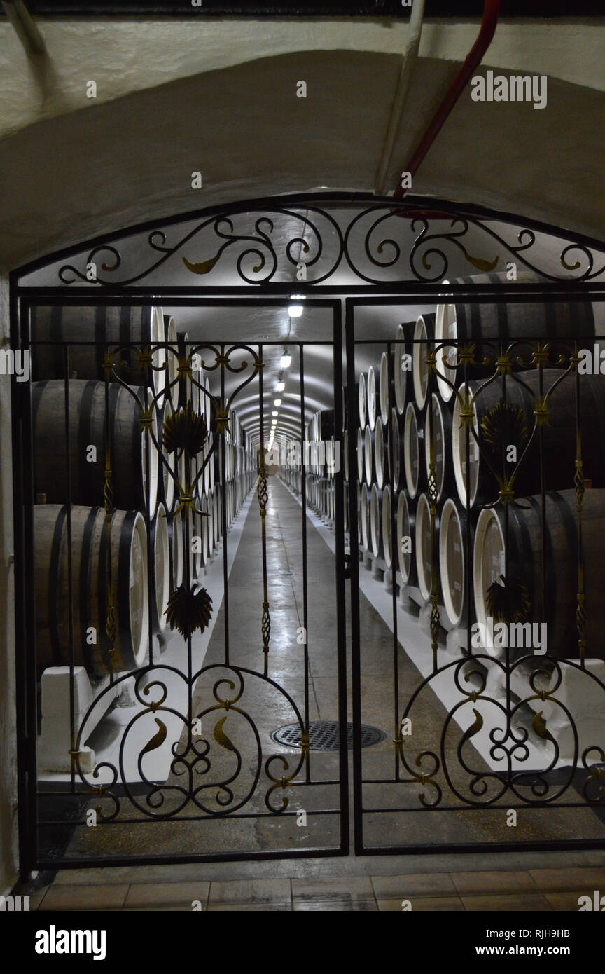 Through the wroughtiron metal gate you can see the wine cellar with